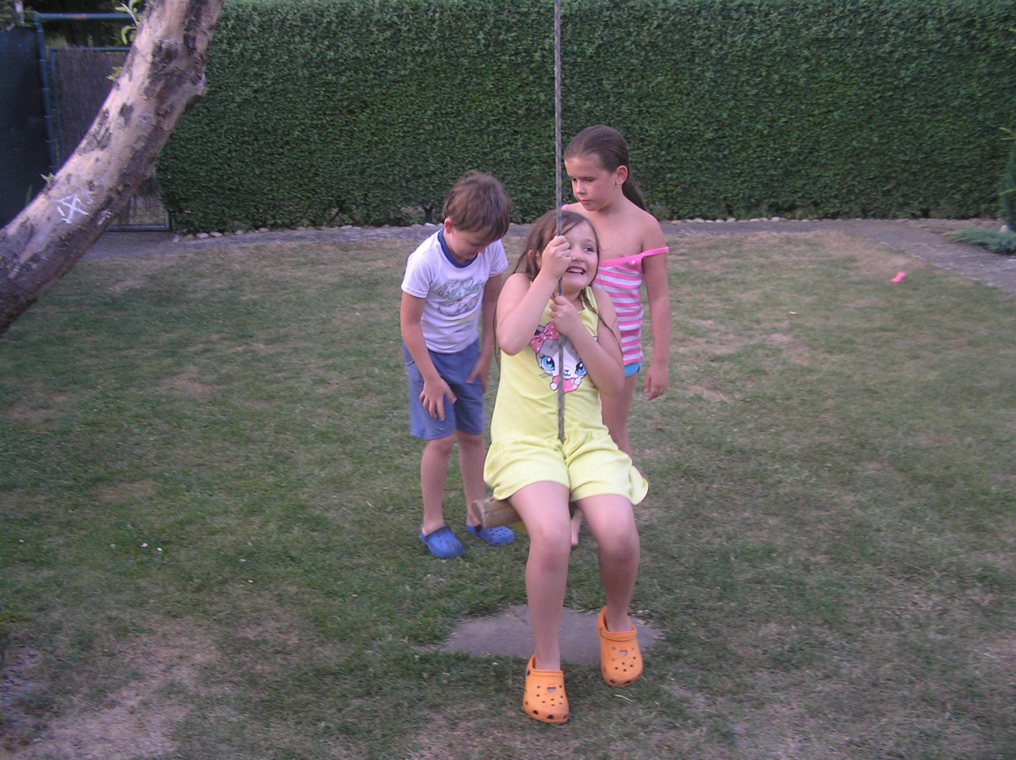 rajce.idnes.cz spren srpen 2015 - Zuzka zahrada – Mishaella – album na Rajčeti