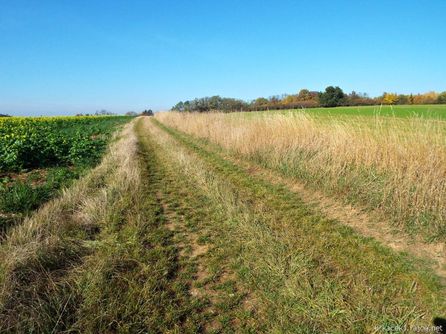 Krčmaň - přírodní památka Bílé Hlíny