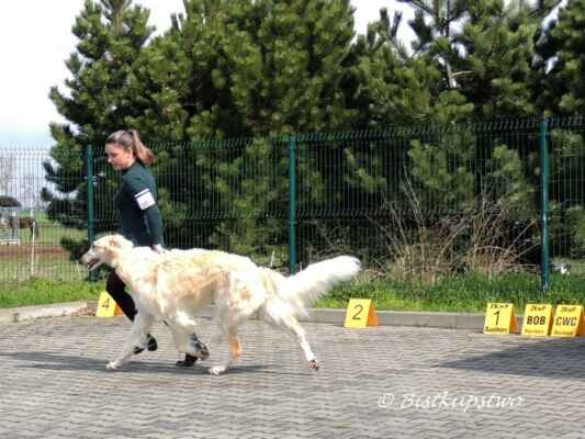 Rabear Bistkupstwo - třída otevřená Ex1, CWC, BOB - Raciborz 16.4.2023