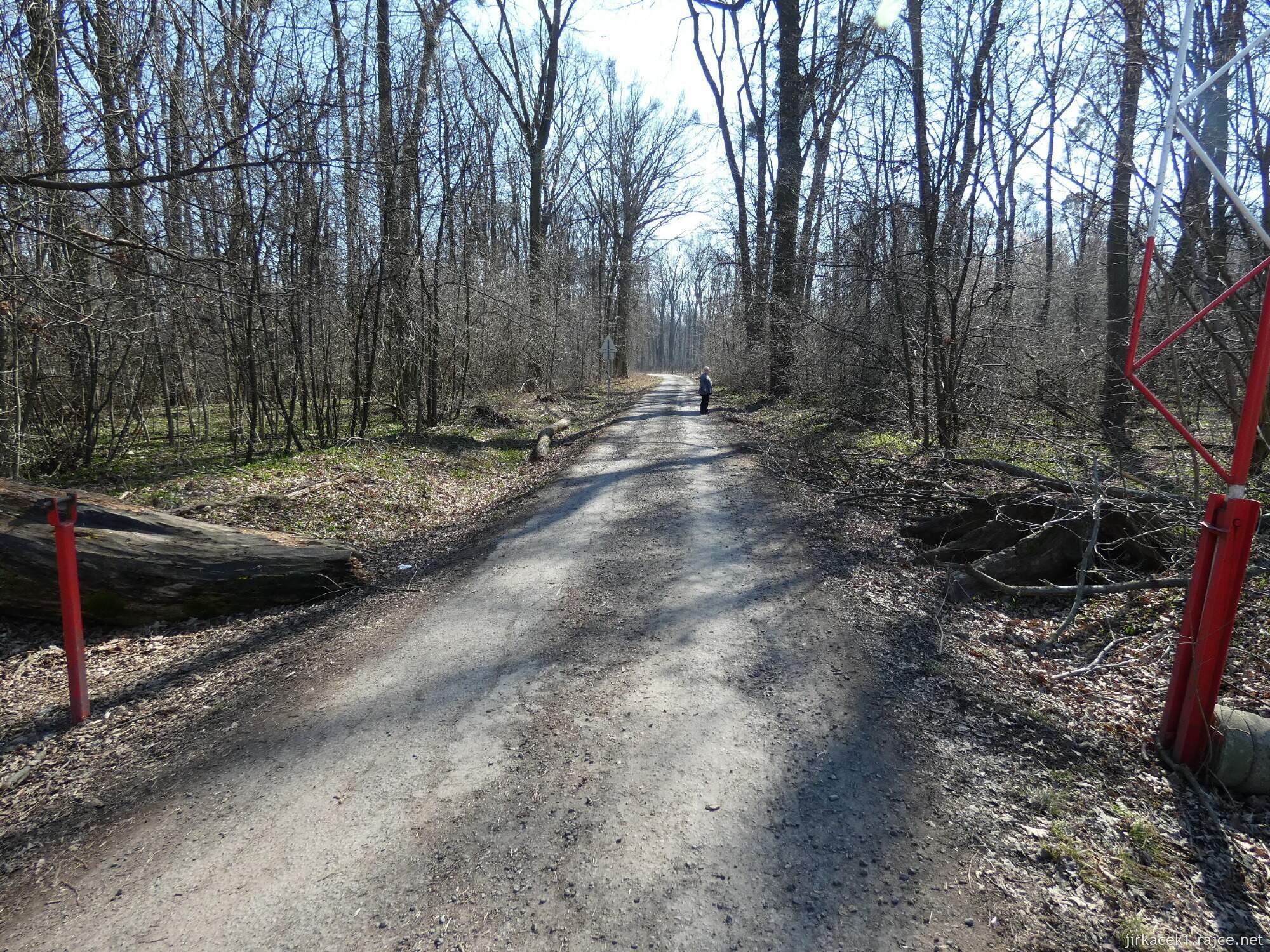 E - Grygov - Přírodní rezervace Království 007