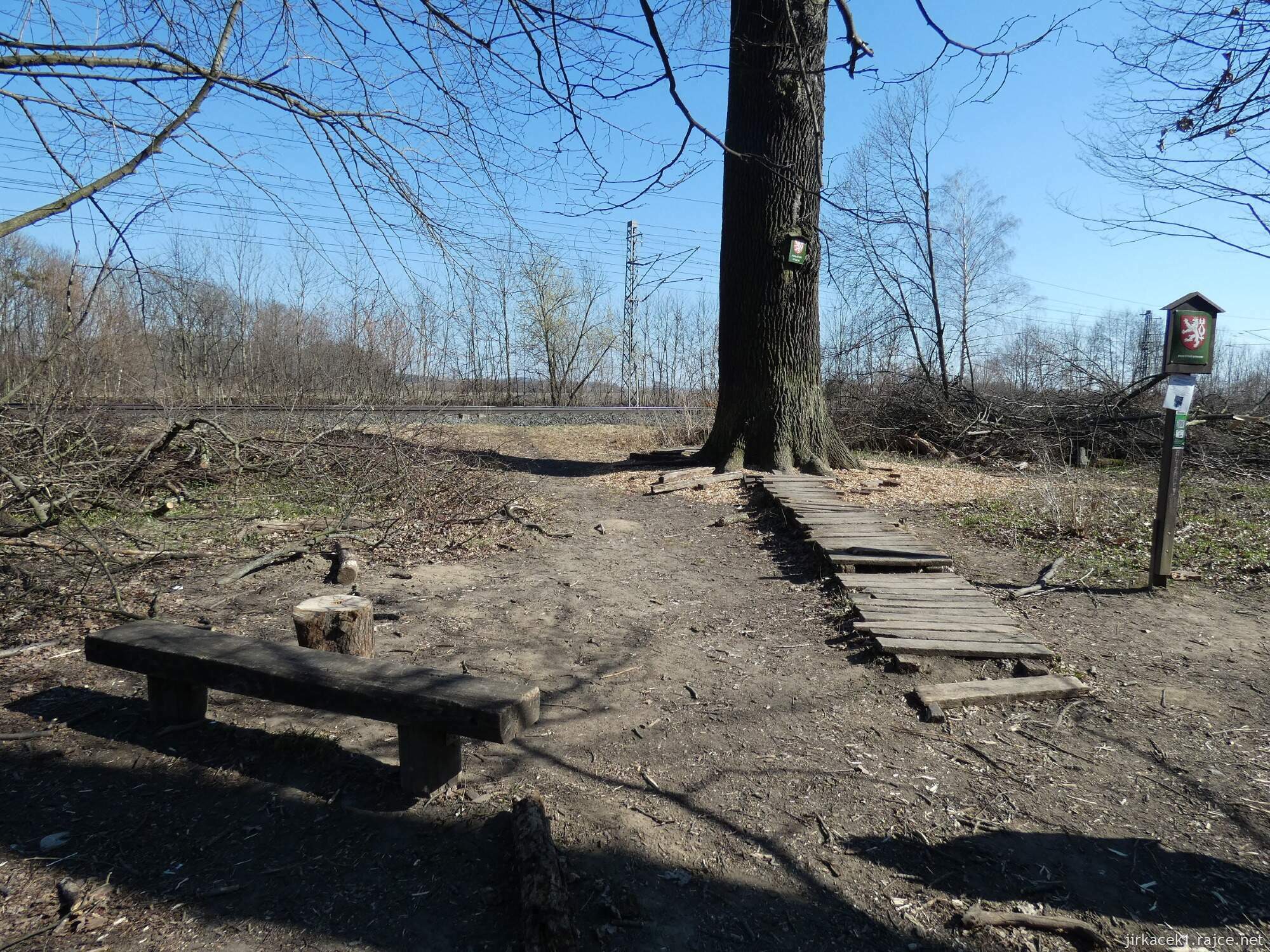 E - Grygov - Přírodní rezervace Království 030 - Dub Král