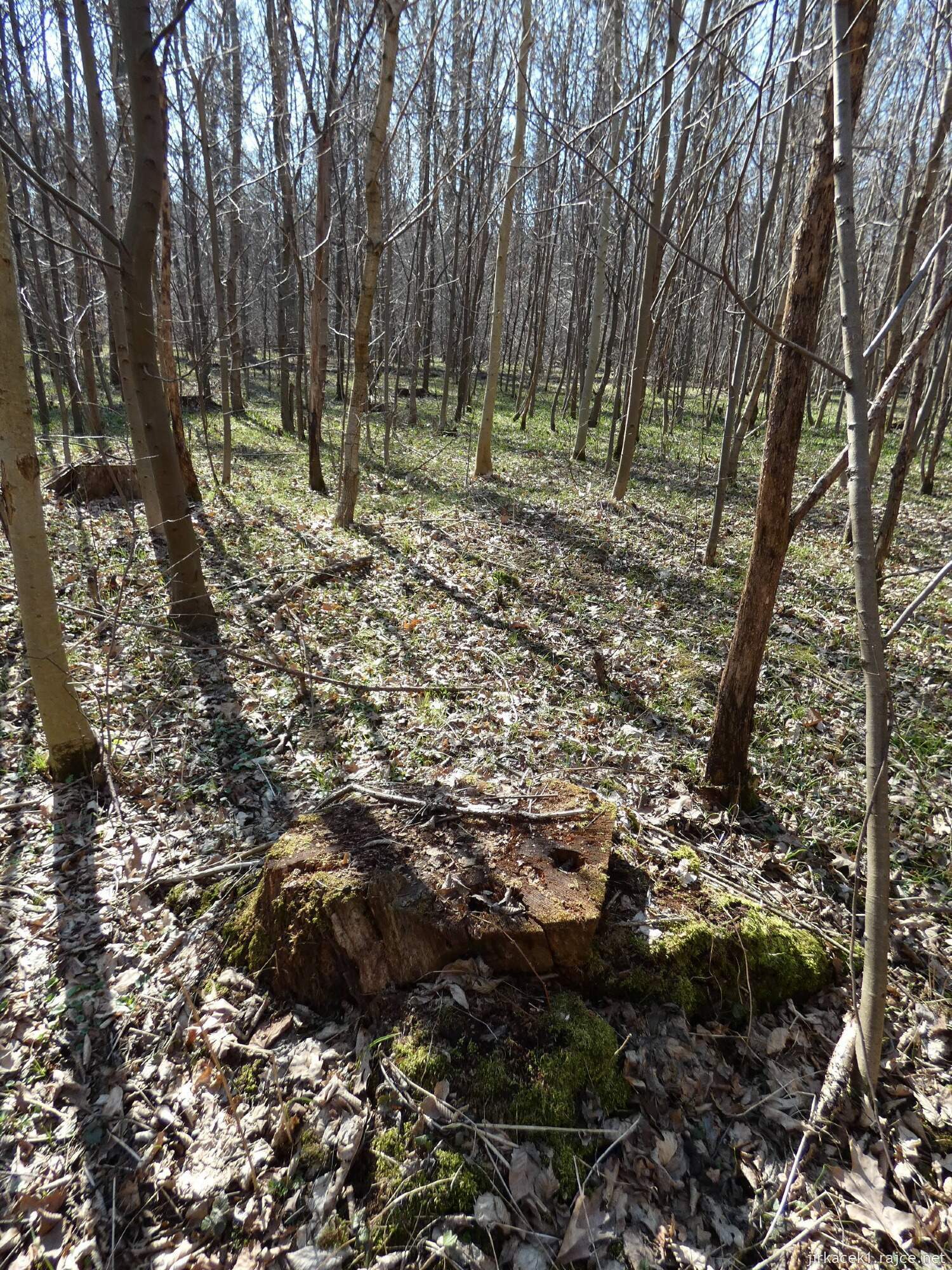 E - Grygov - Přírodní rezervace Království 039