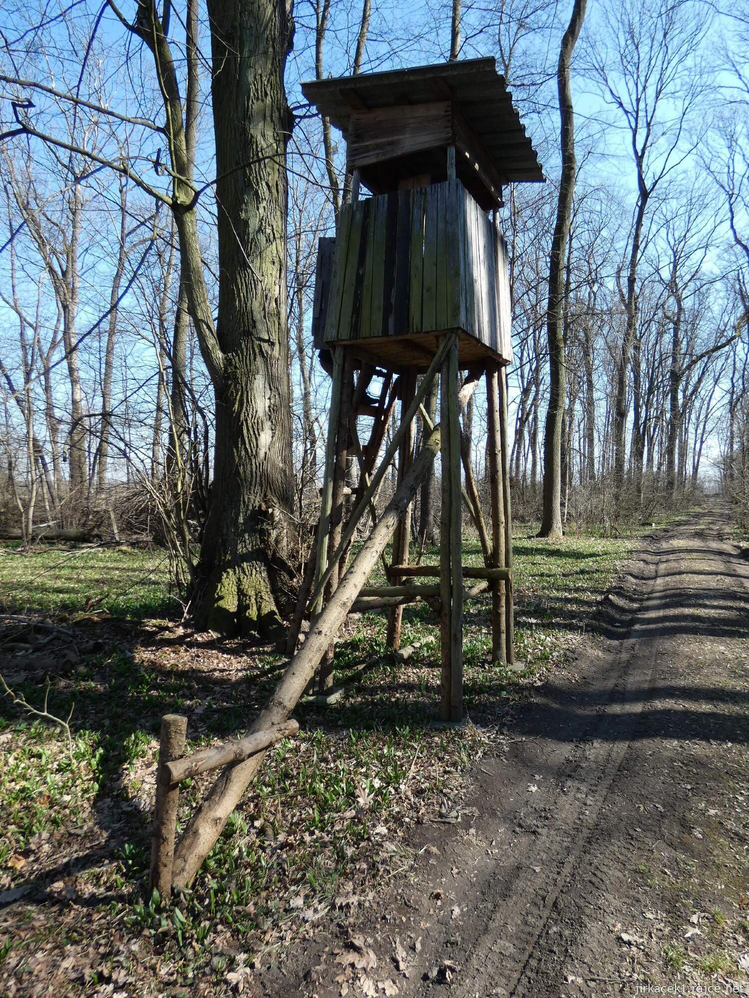 E - Grygov - Přírodní rezervace Království 043