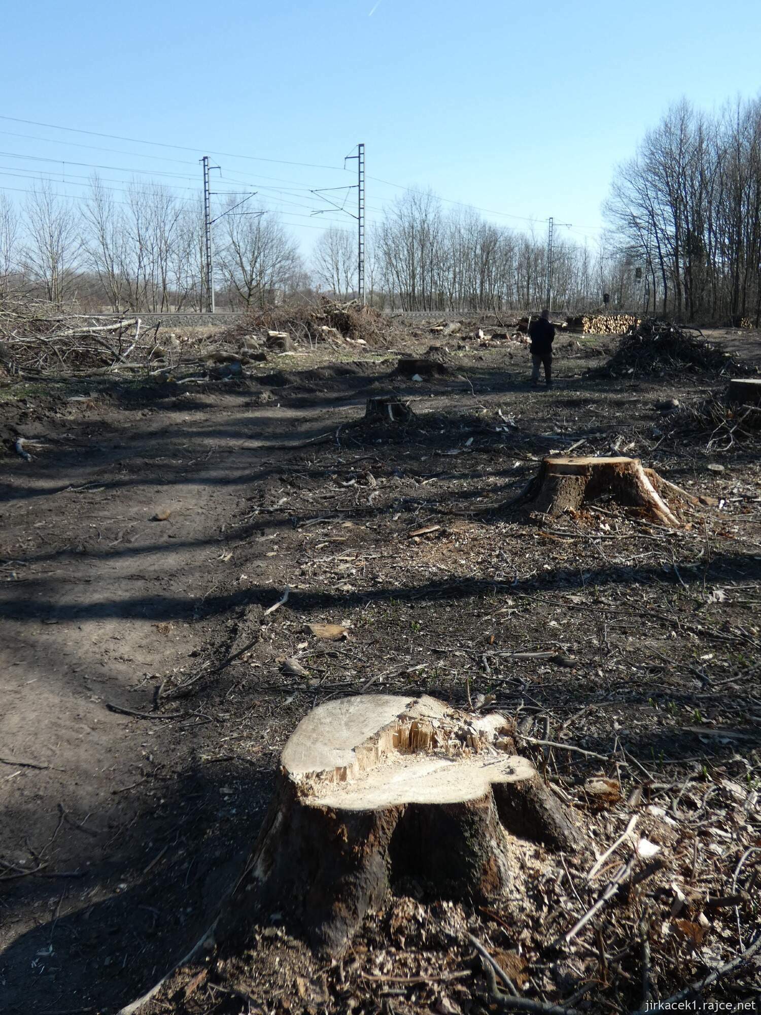 E - Grygov - Přírodní rezervace Království 048