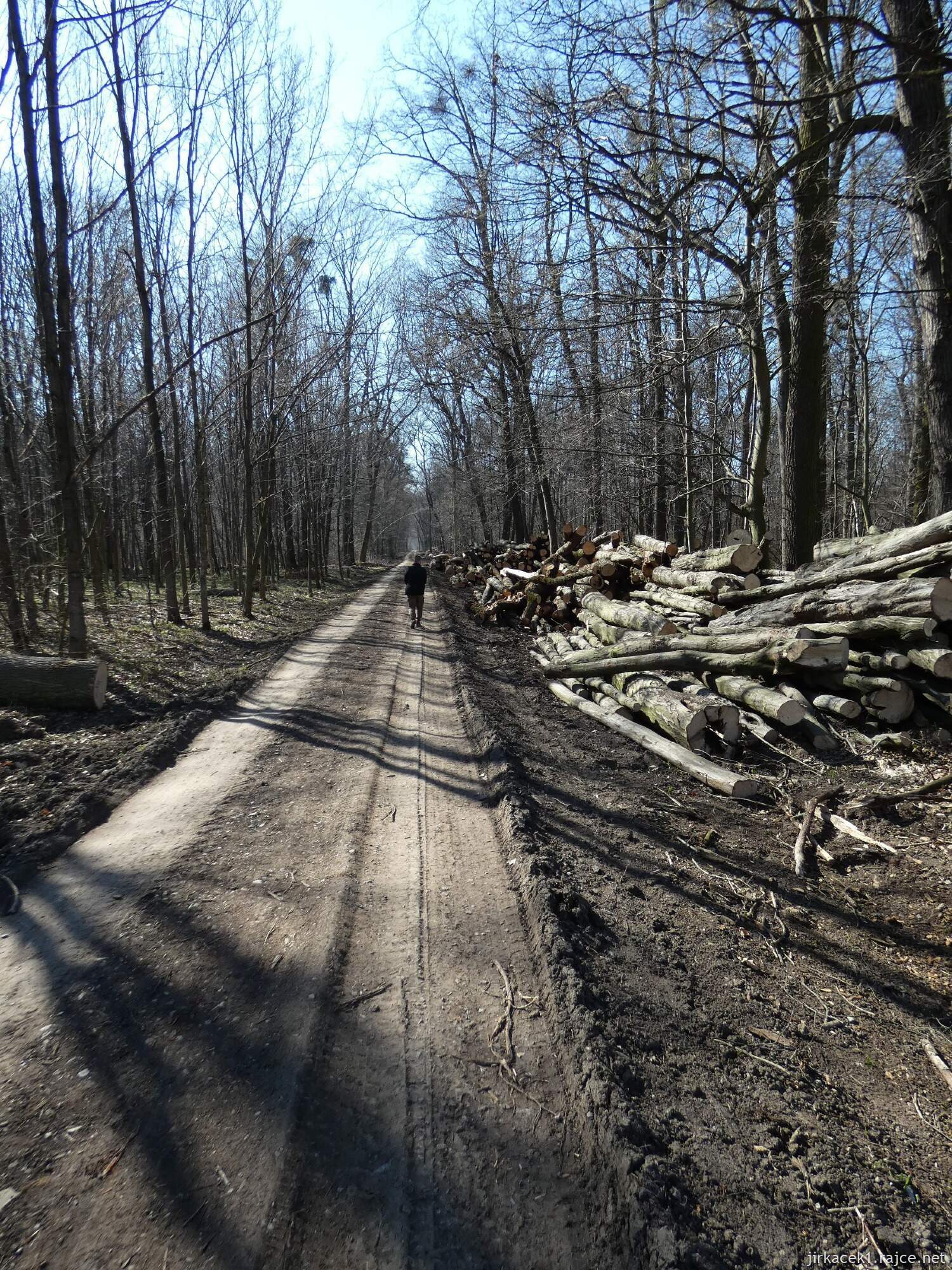 E - Grygov - Přírodní rezervace Království 049