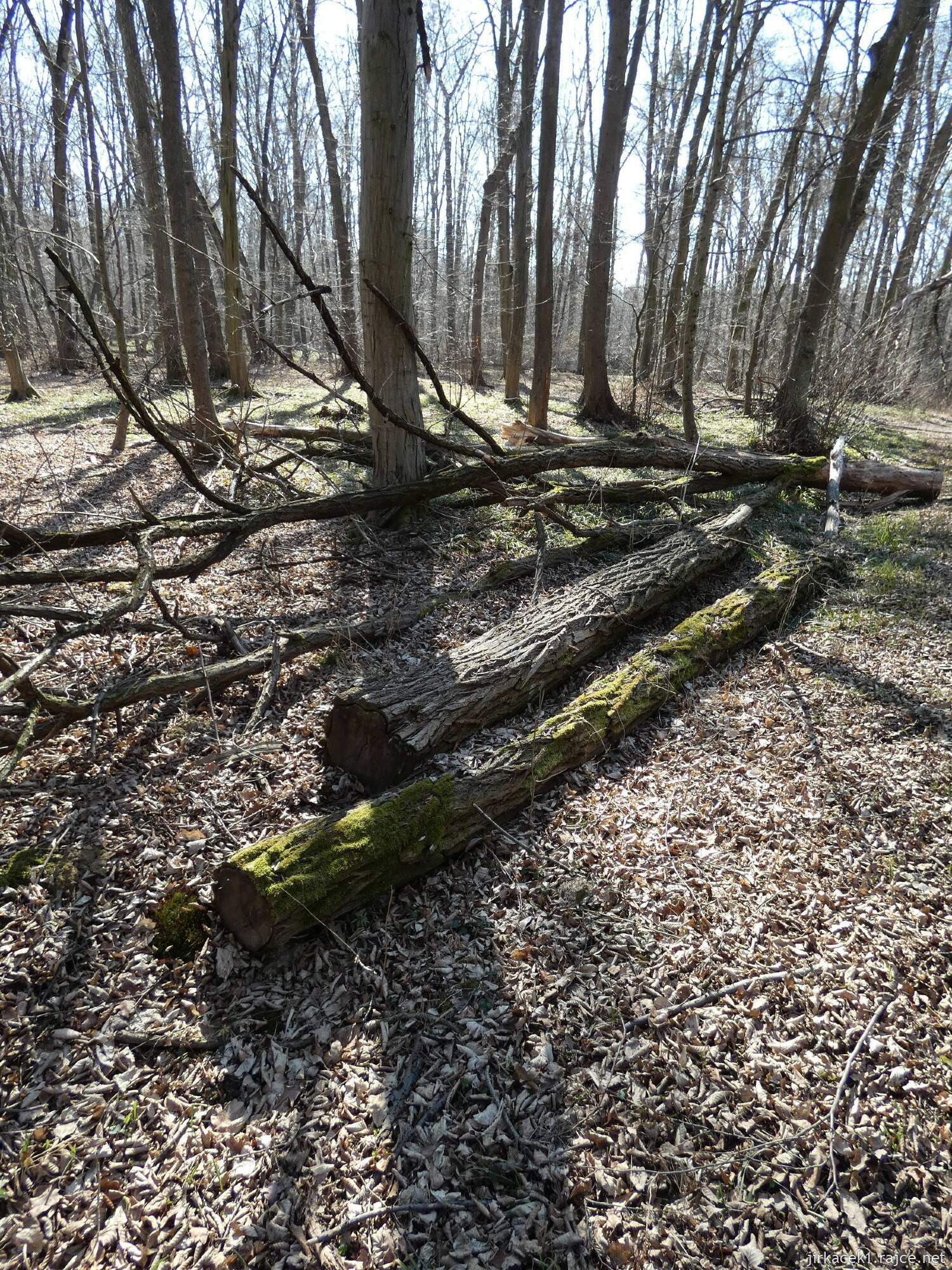 E - Grygov - Přírodní rezervace Království 052