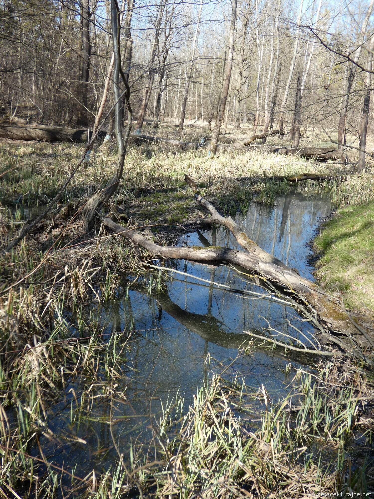 E - Grygov - Přírodní rezervace Království 054