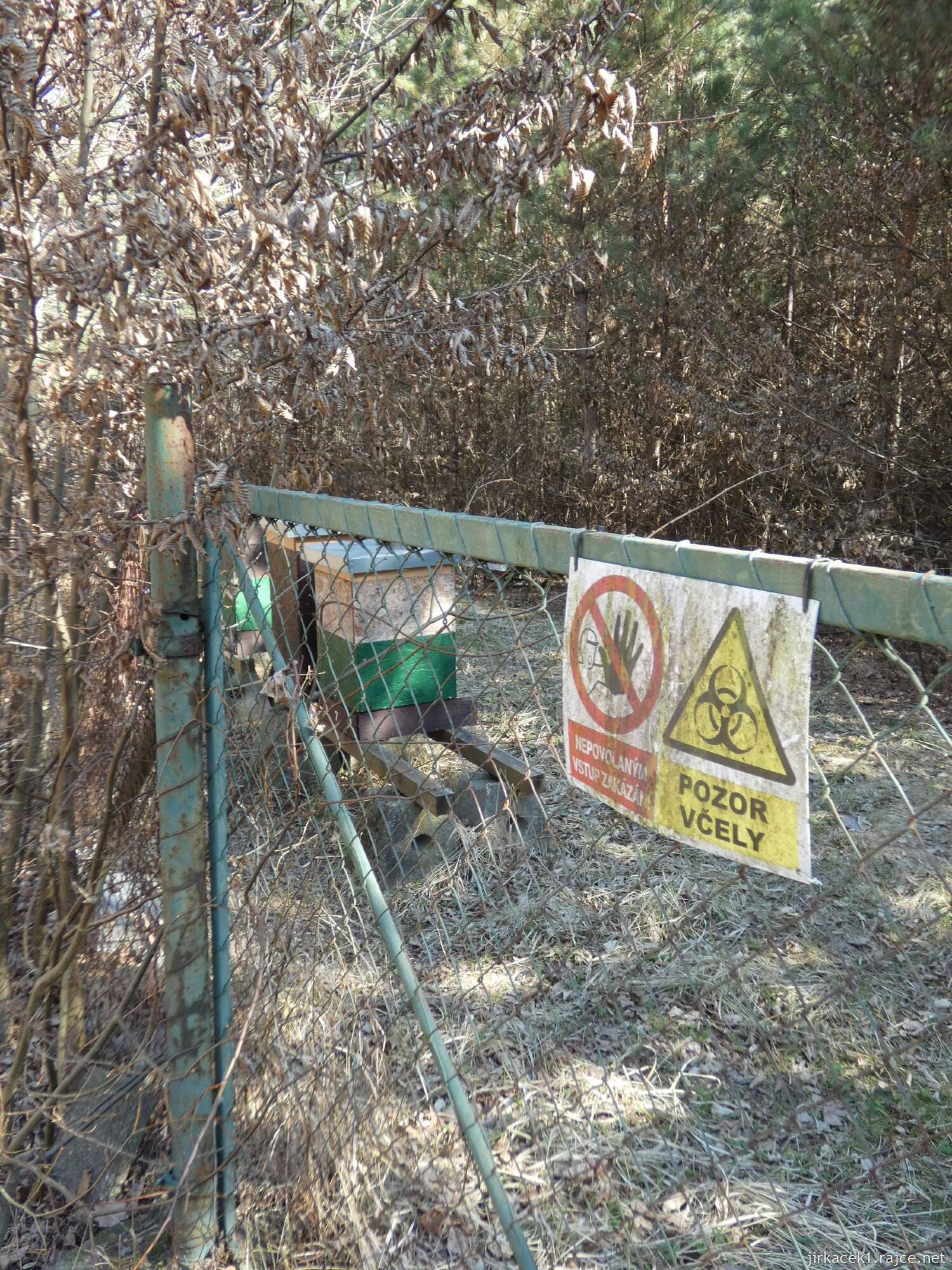 E - Grygov - Přírodní rezervace Království 060