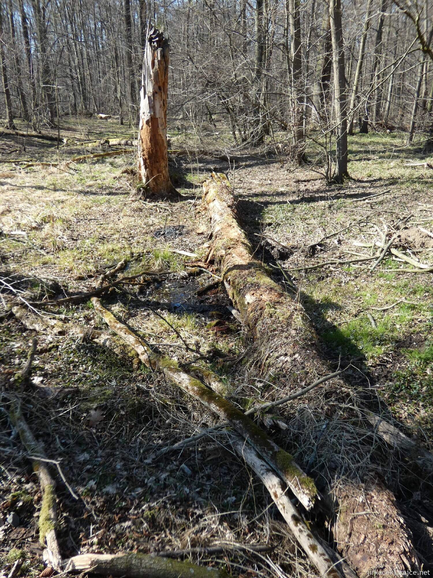 E - Grygov - Přírodní rezervace Království 065