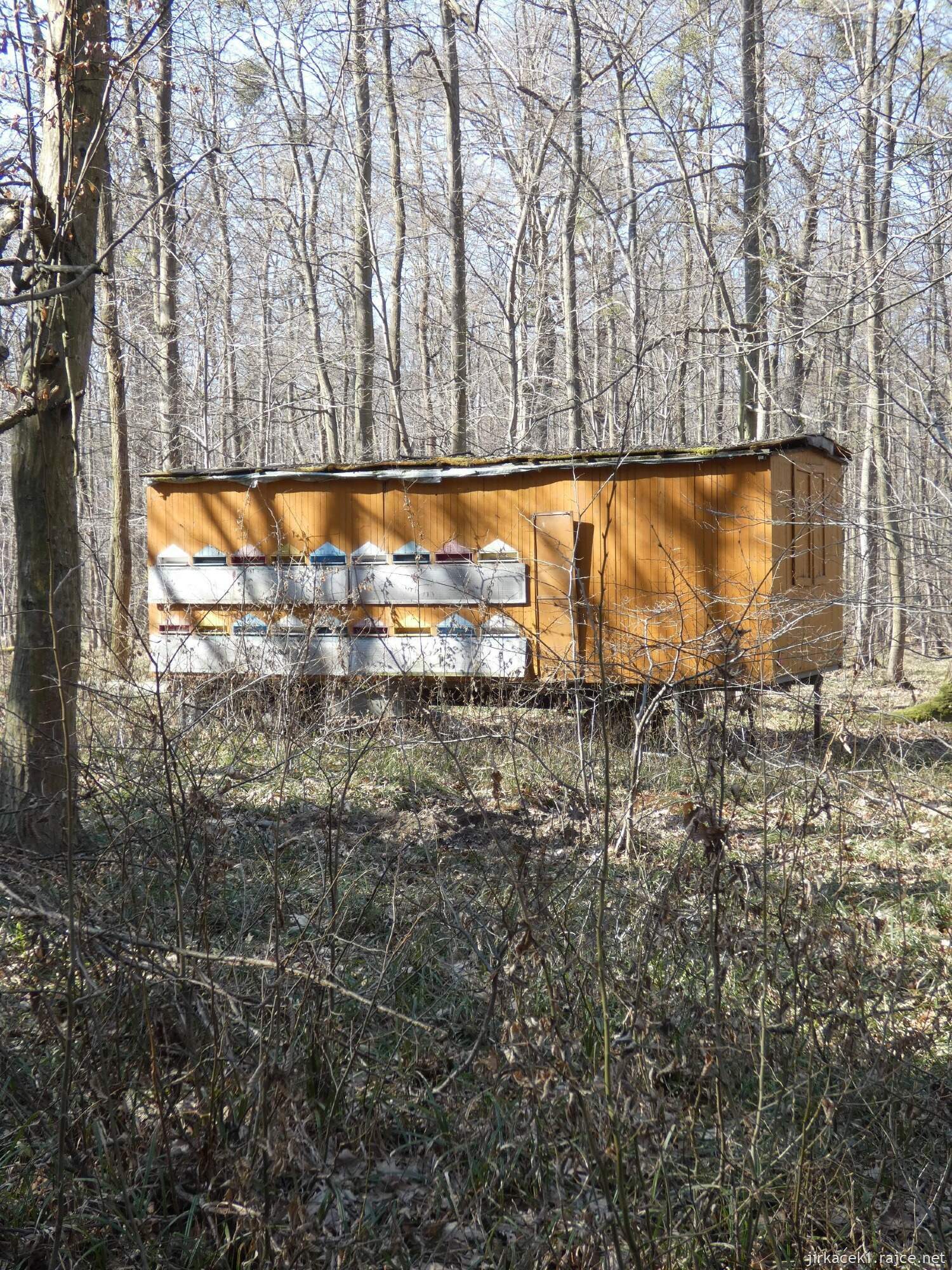 E - Grygov - Přírodní rezervace Království 068