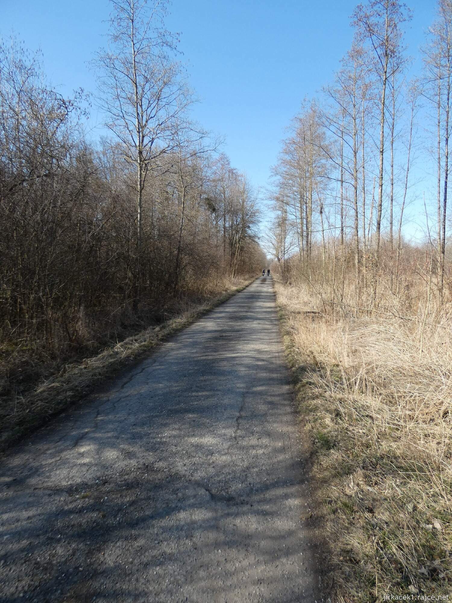 E - Grygov - Přírodní rezervace Království 080