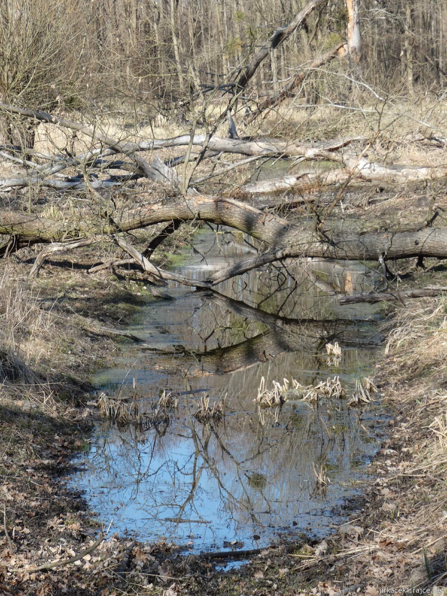 E - Grygov - Přírodní rezervace Království 087