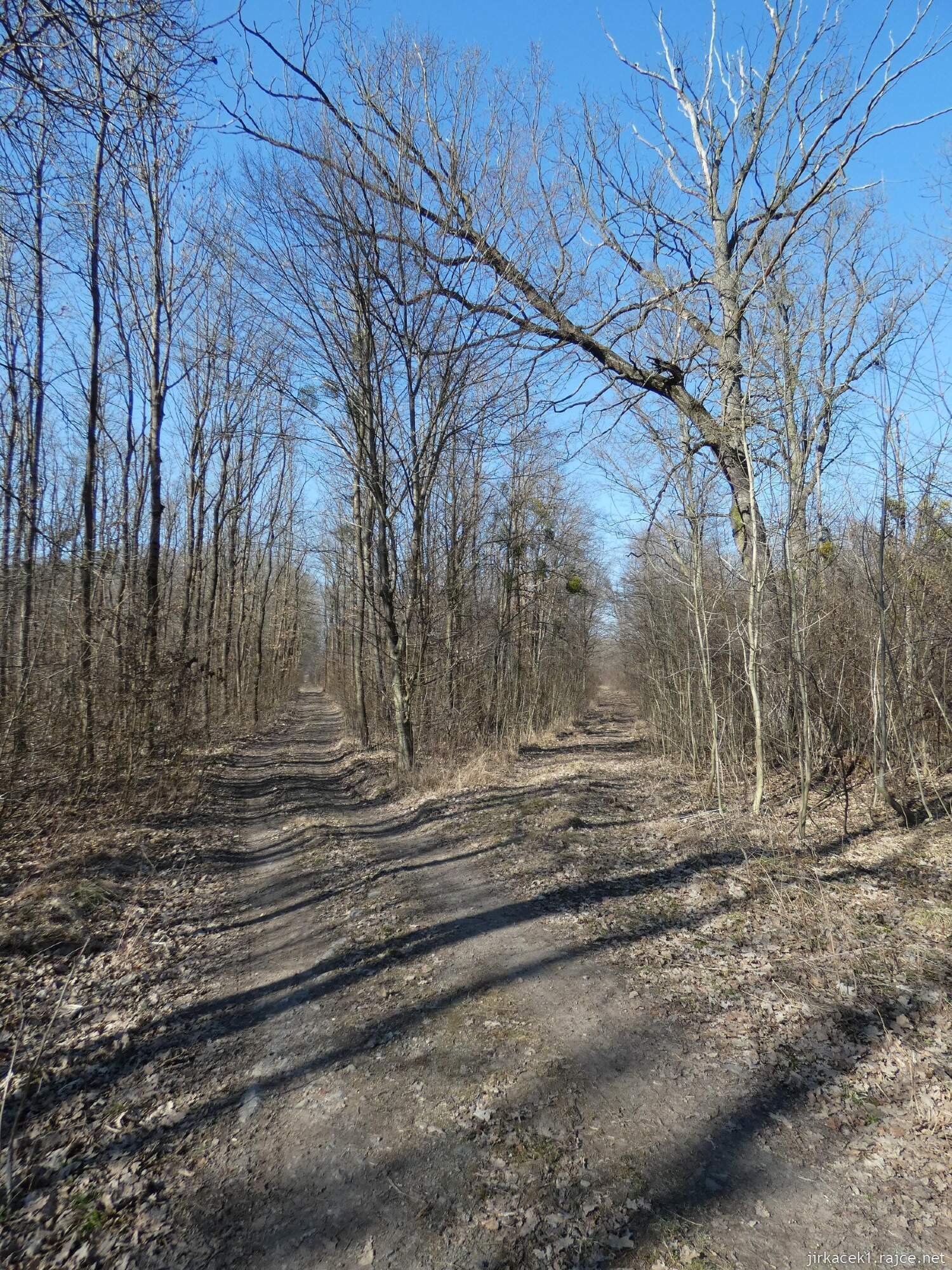 E - Grygov - Přírodní rezervace Království 089