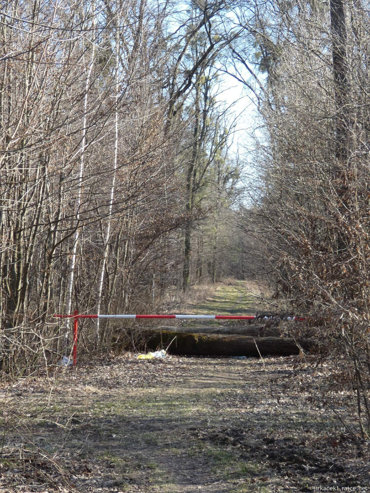 E - Grygov - Přírodní rezervace Království 110 - Hončí cesta