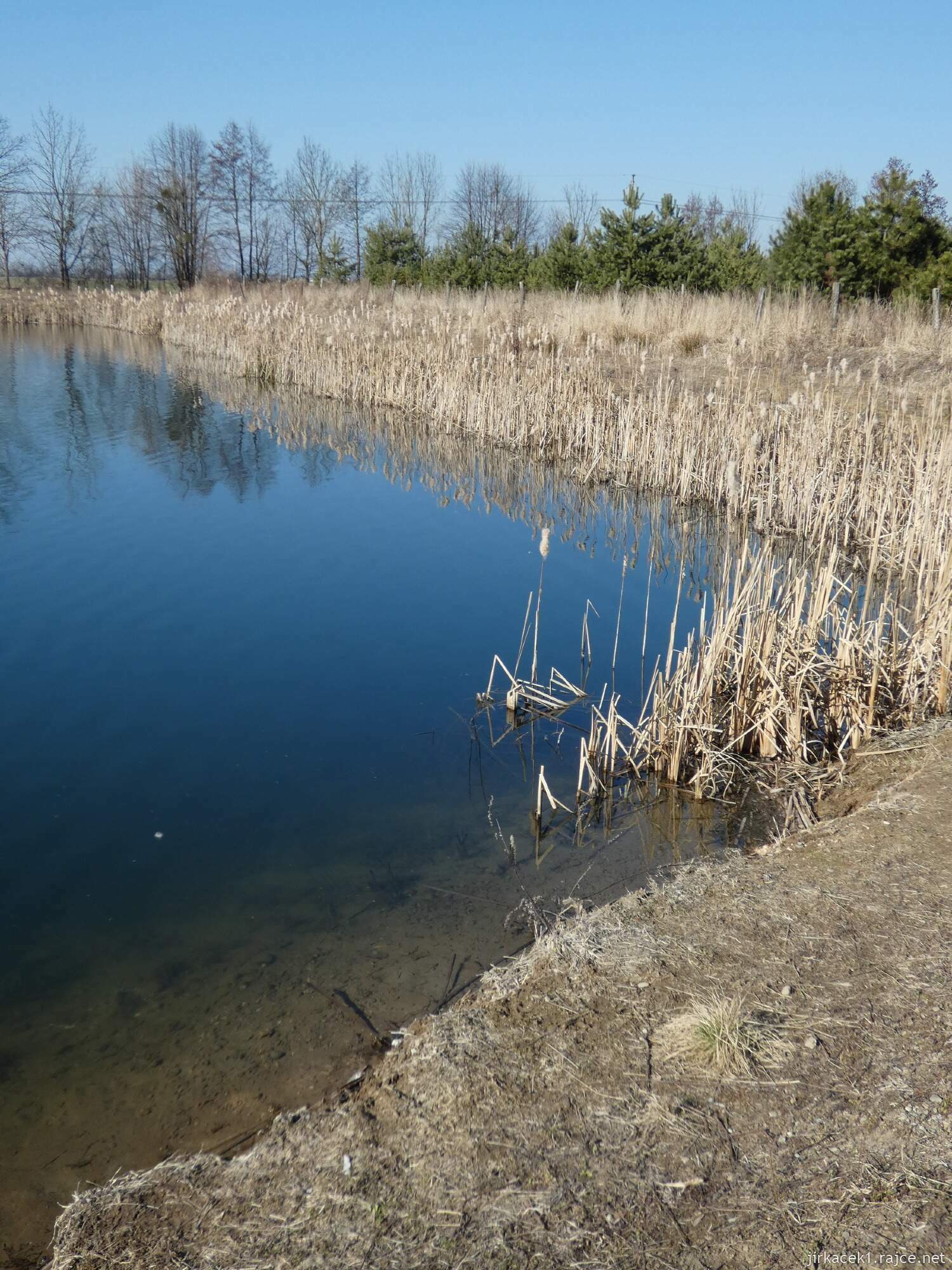 E - Grygov - Přírodní rezervace Království 118
