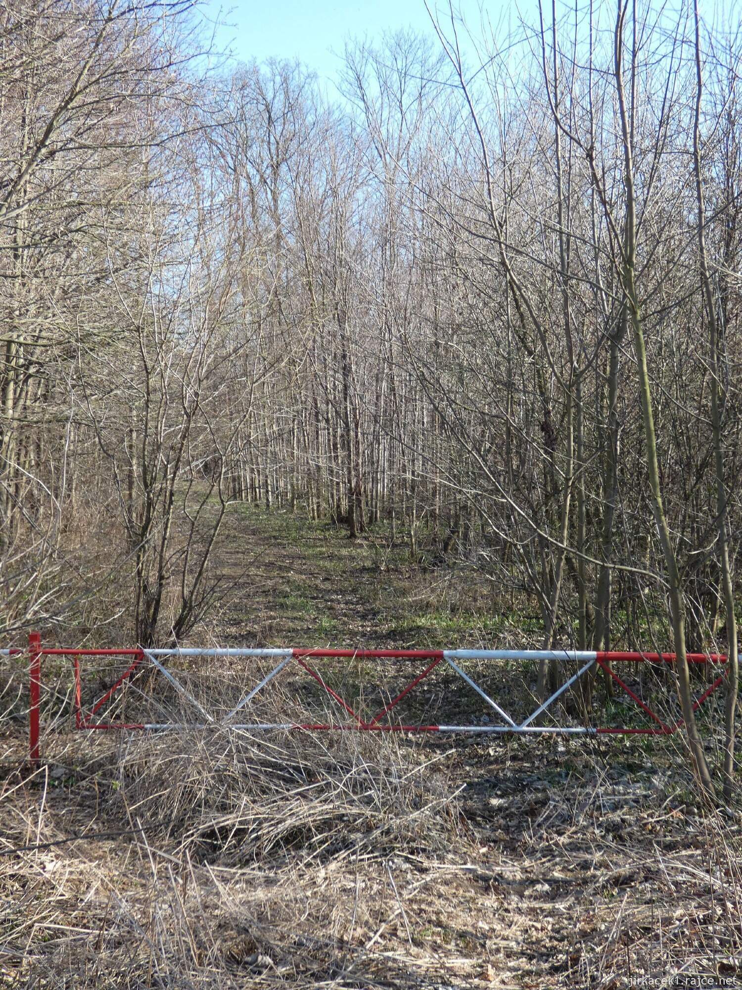 E - Grygov - Přírodní rezervace Království 123