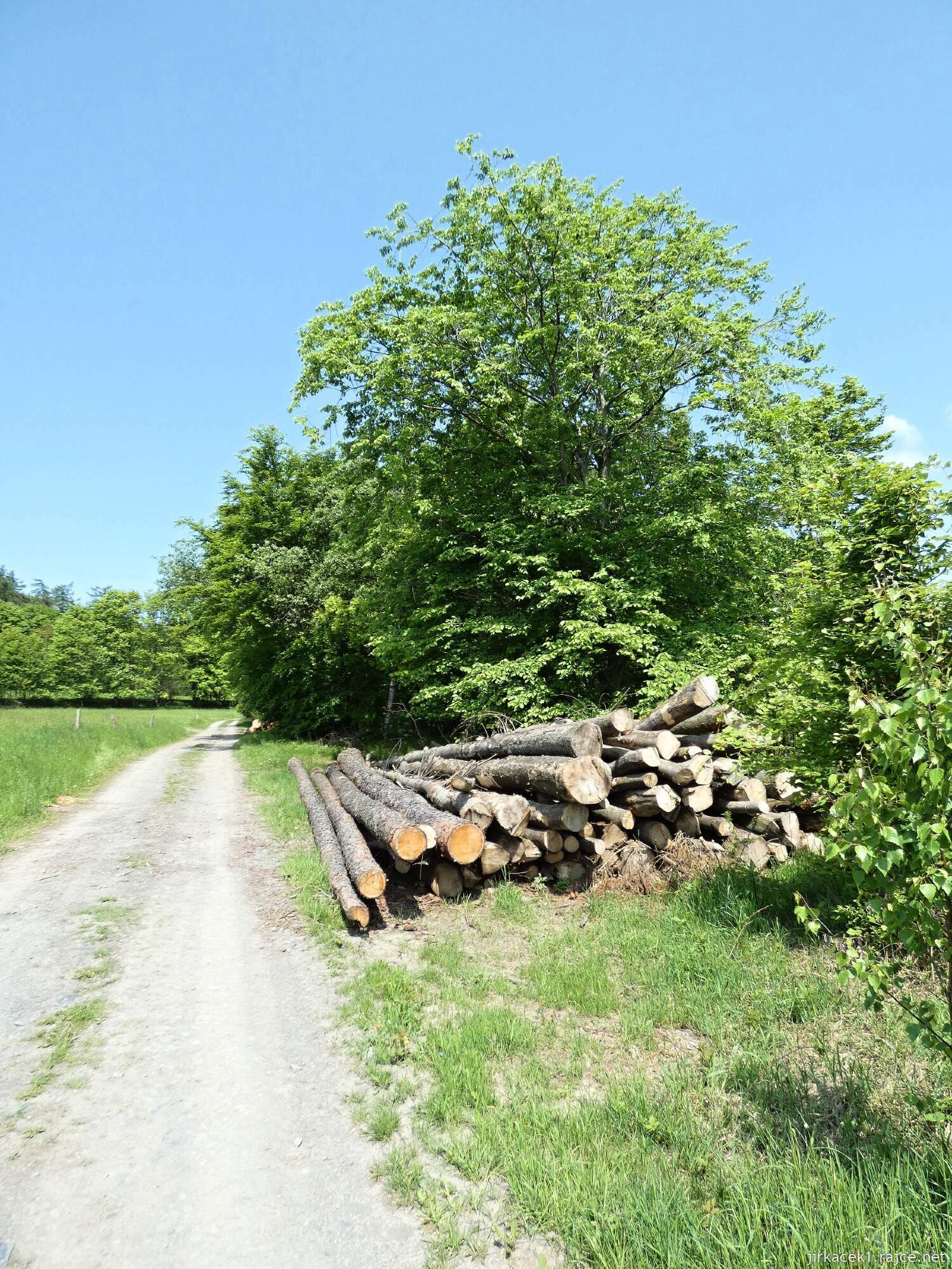 E - Budišov nad Budišovkou - cesta z města na rozhlednu Halaška 020
