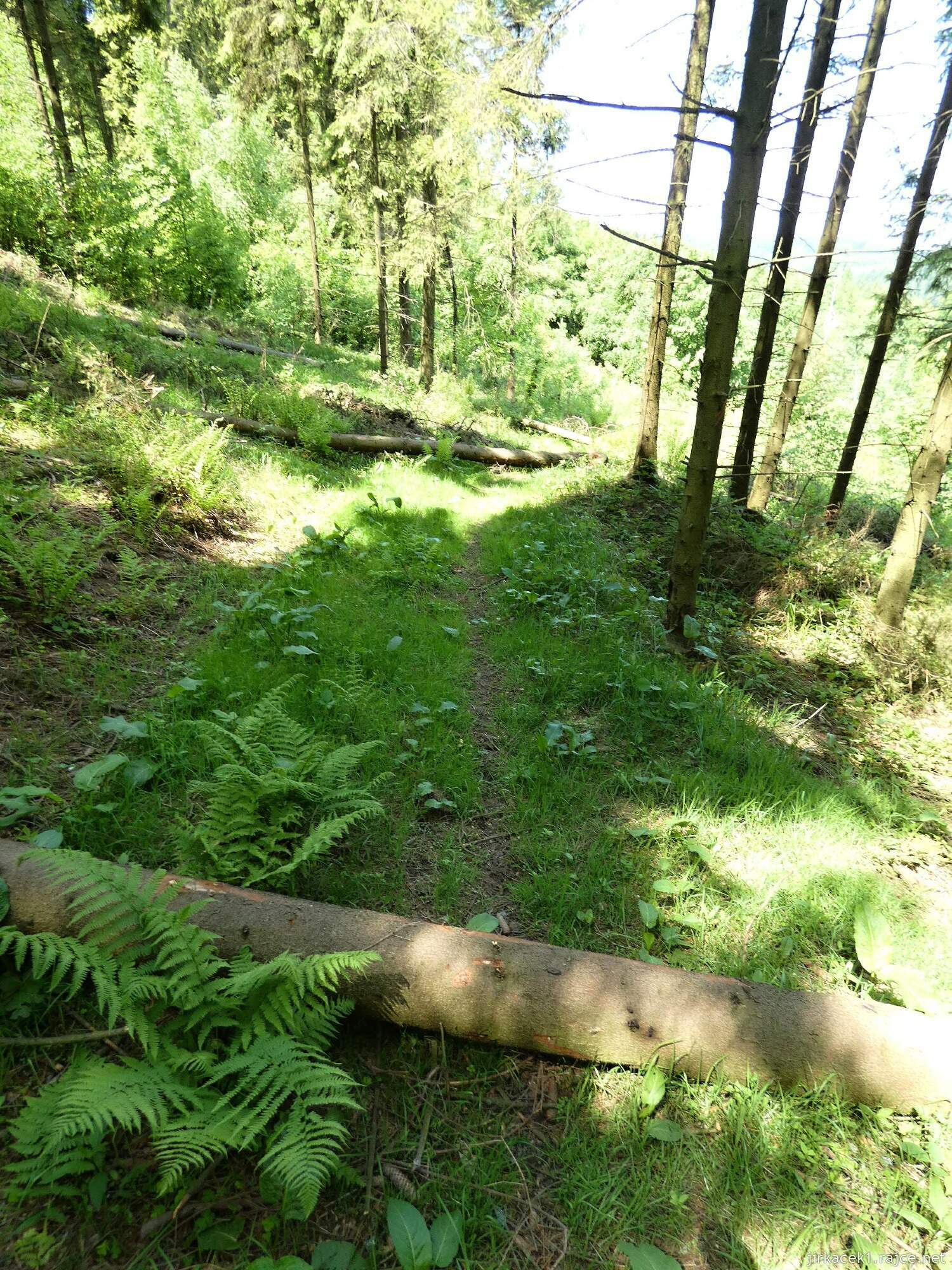 G - cesta z rozhledny Halaška na hrad Vildštejn 005