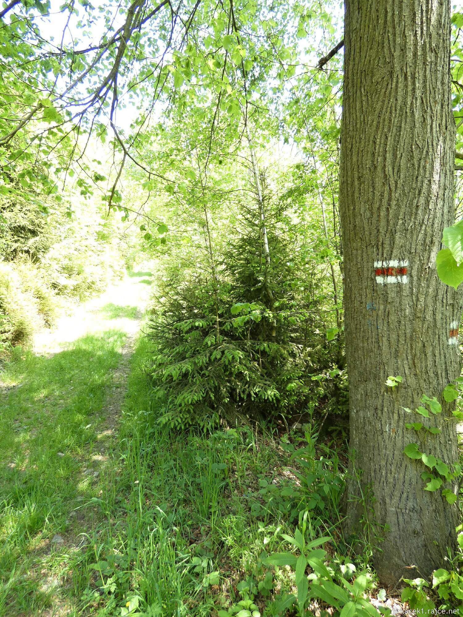 G - cesta z rozhledny Halaška na hrad Vildštejn 014