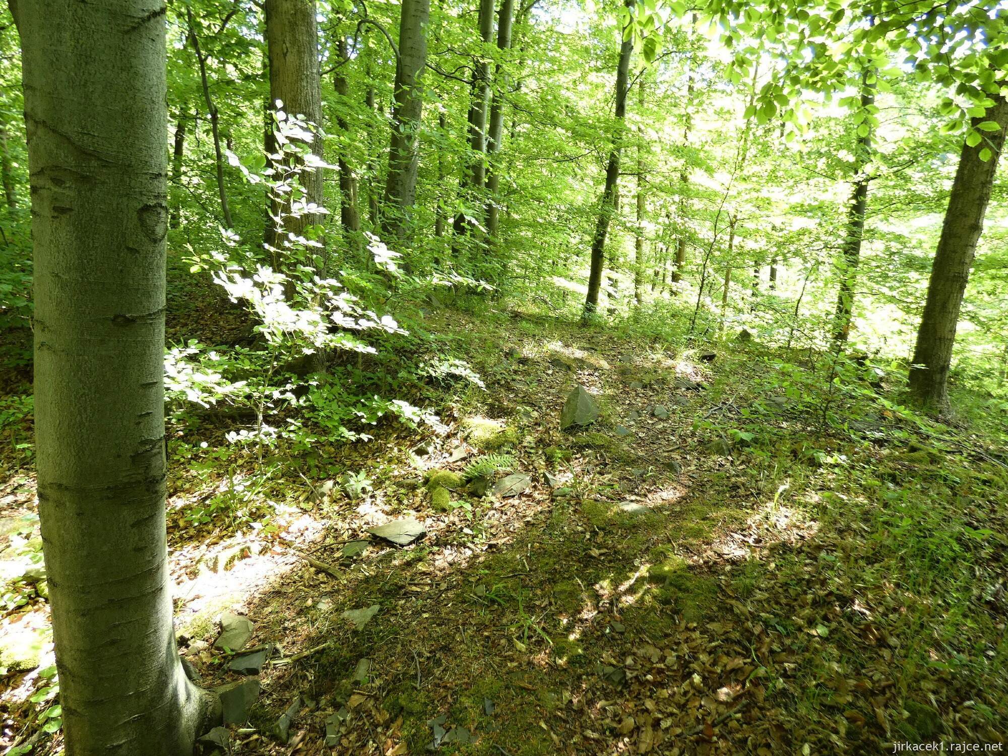 H - Budišov nad Budišovkou - zřícenina hradu Vildštejn 006