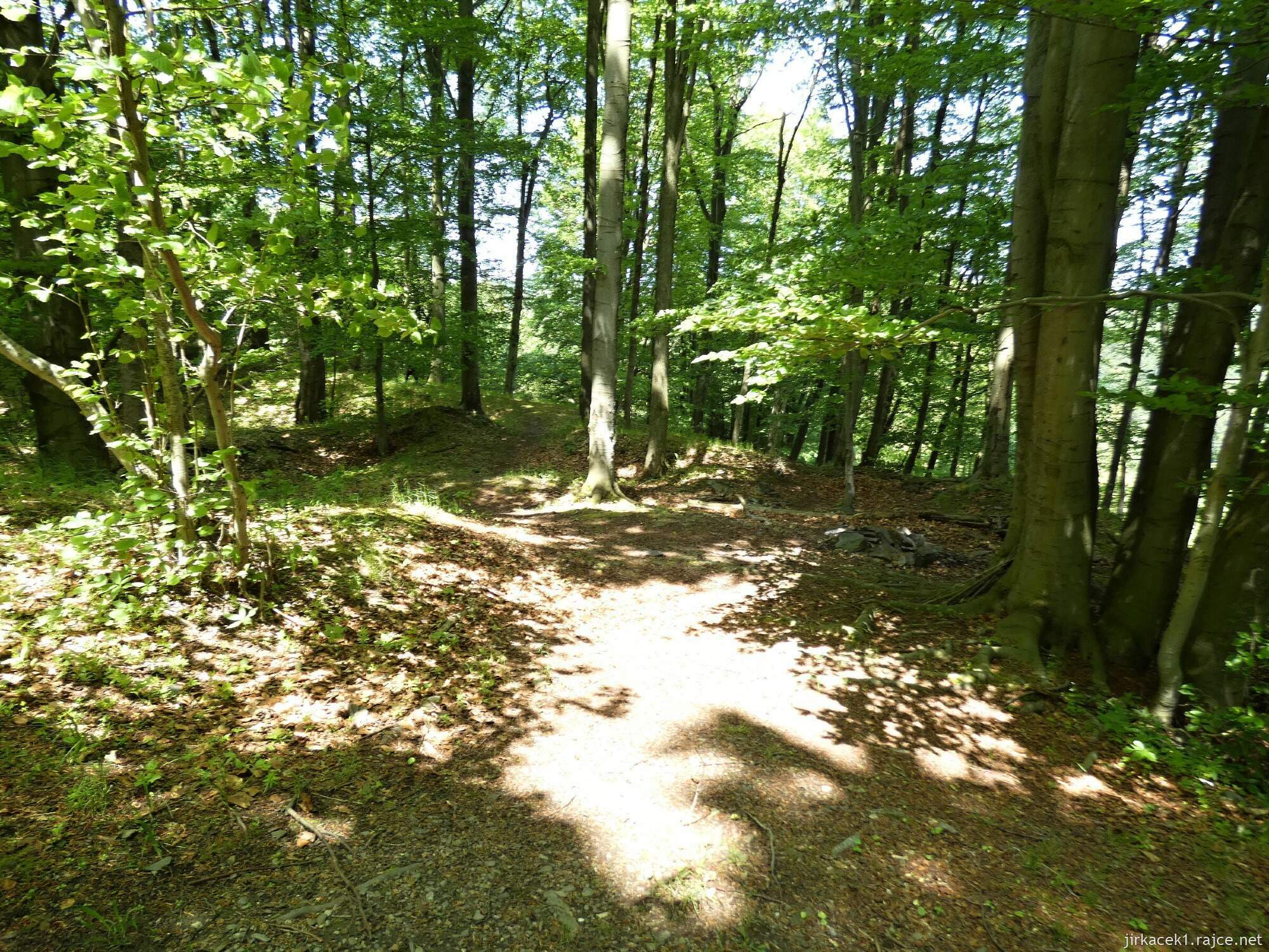 H - Budišov nad Budišovkou - zřícenina hradu Vildštejn 012