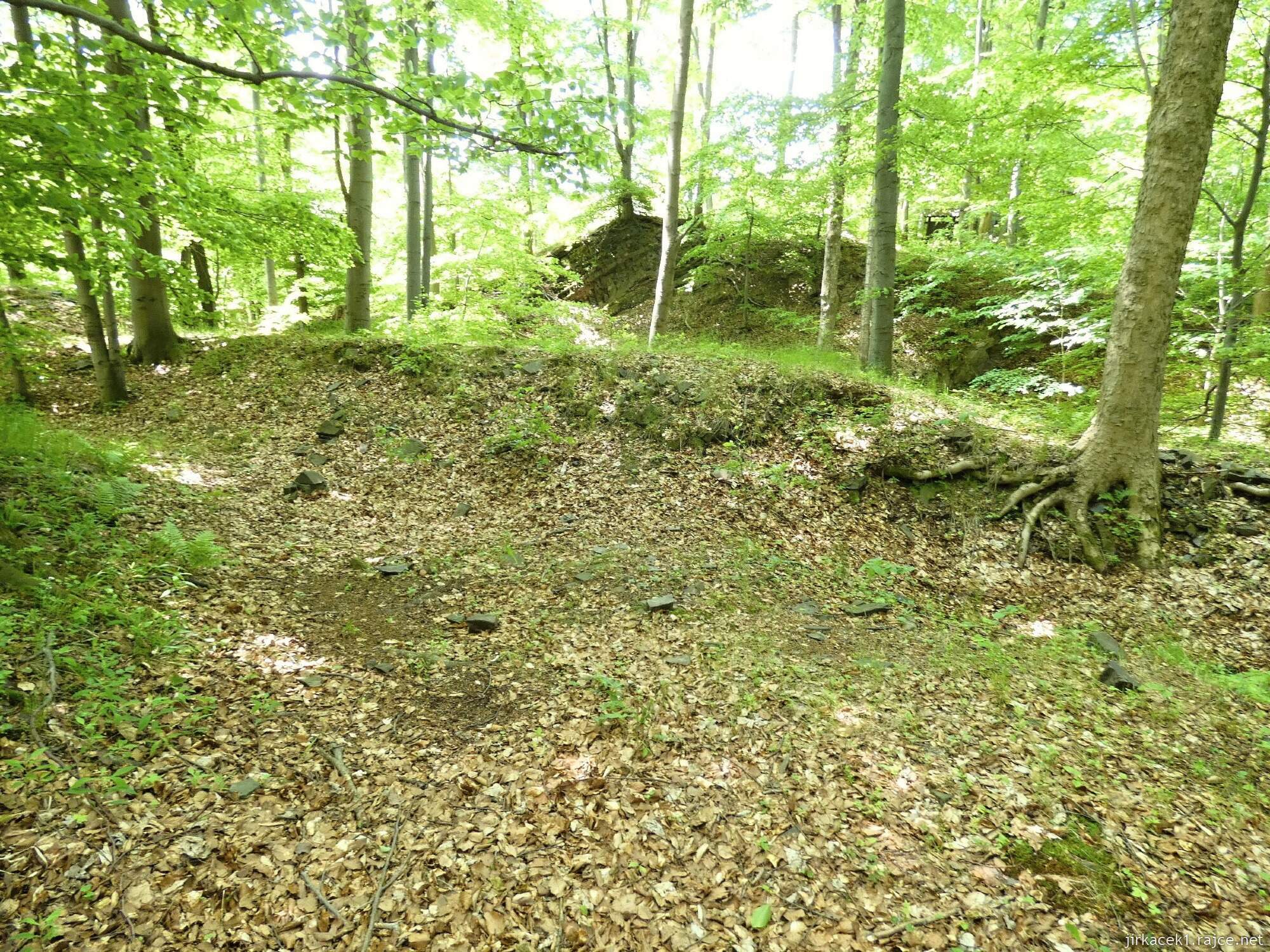 H - Budišov nad Budišovkou - zřícenina hradu Vildštejn 014