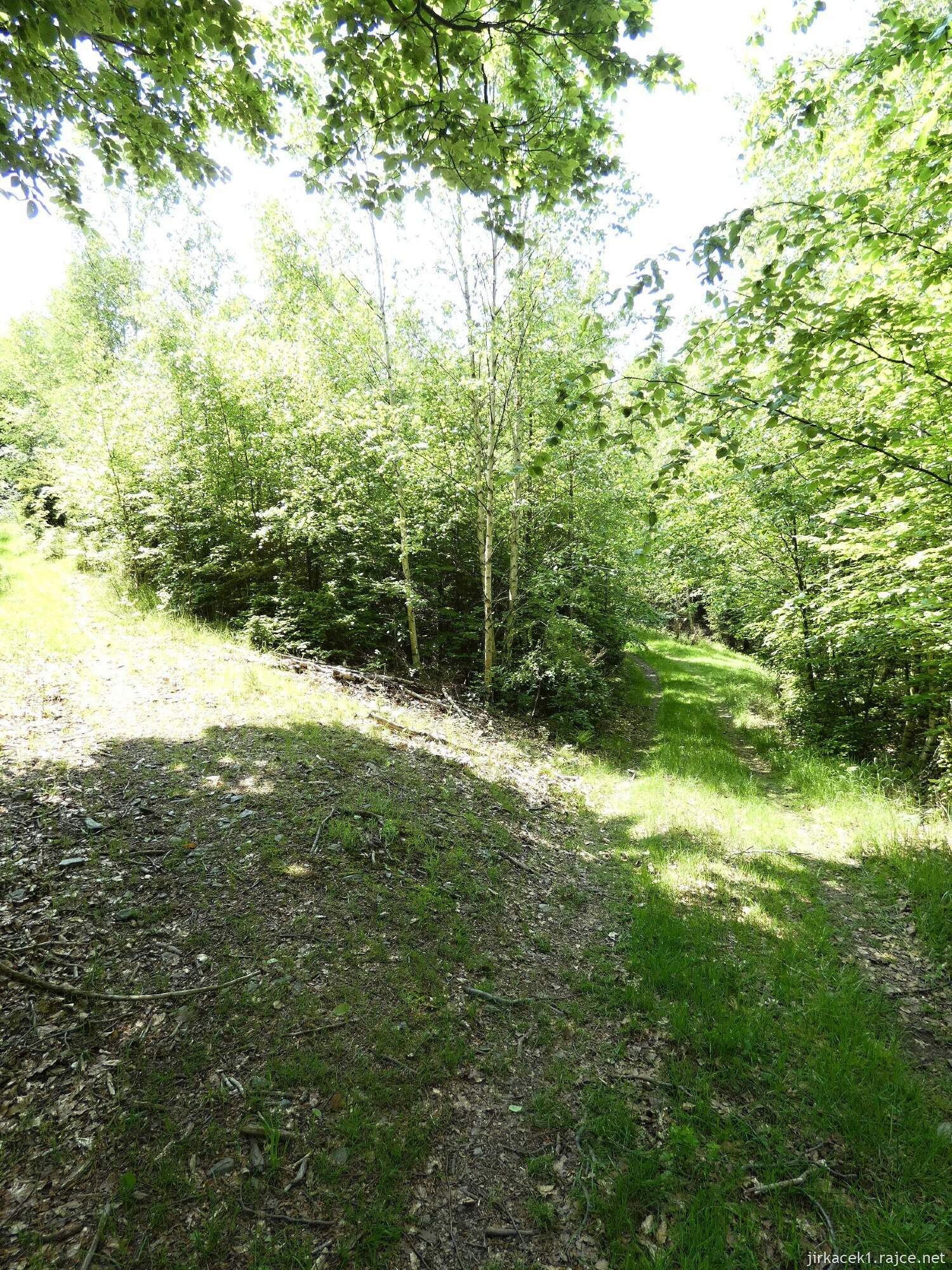 I - cesta z hradu Vildštejn do Budišova nad Budišovkou 009