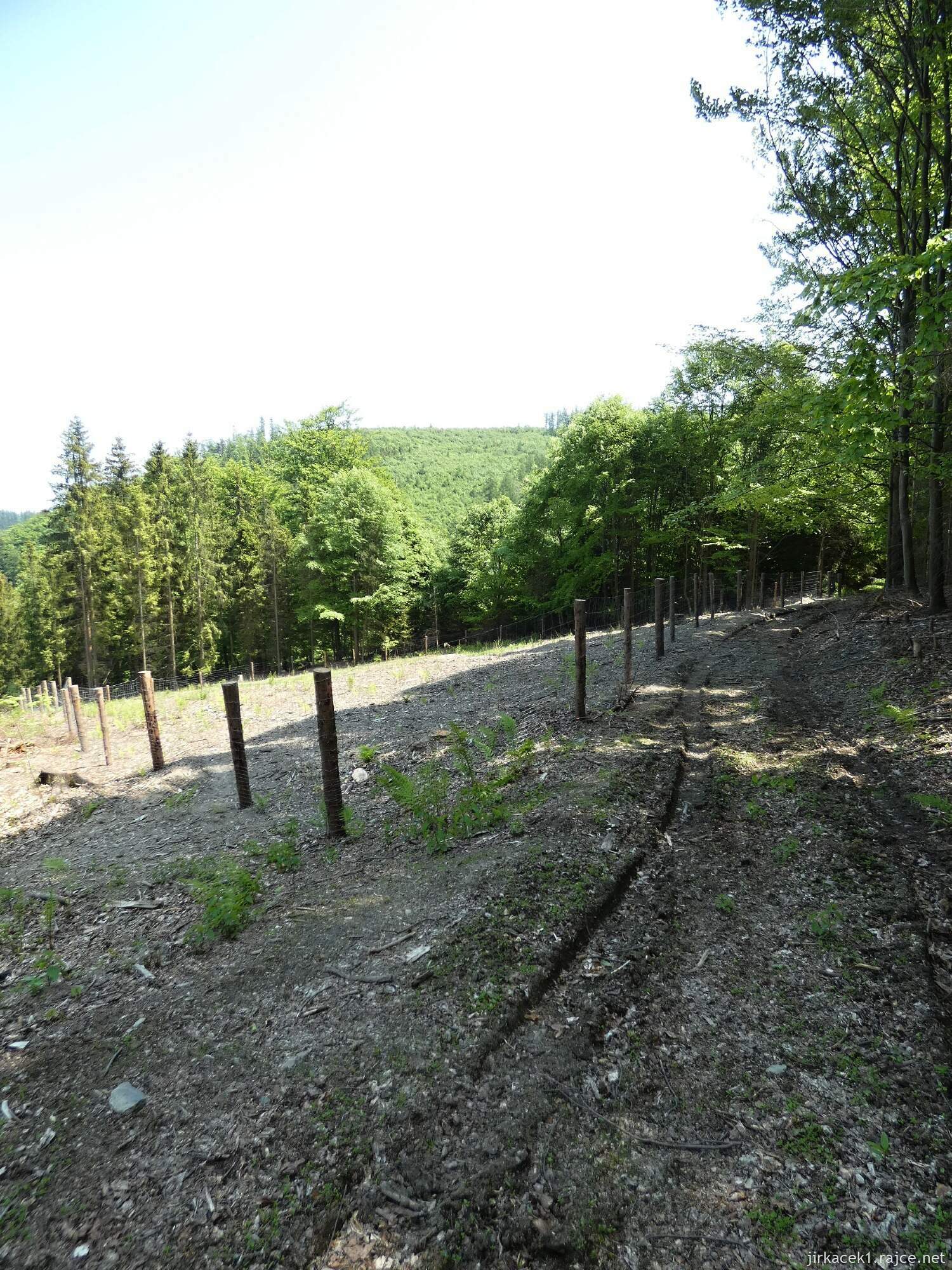 I - cesta z hradu Vildštejn do Budišova nad Budišovkou 015