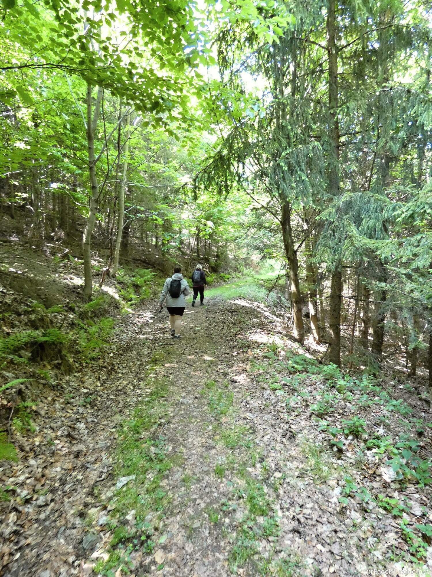 I - cesta z hradu Vildštejn do Budišova nad Budišovkou 021
