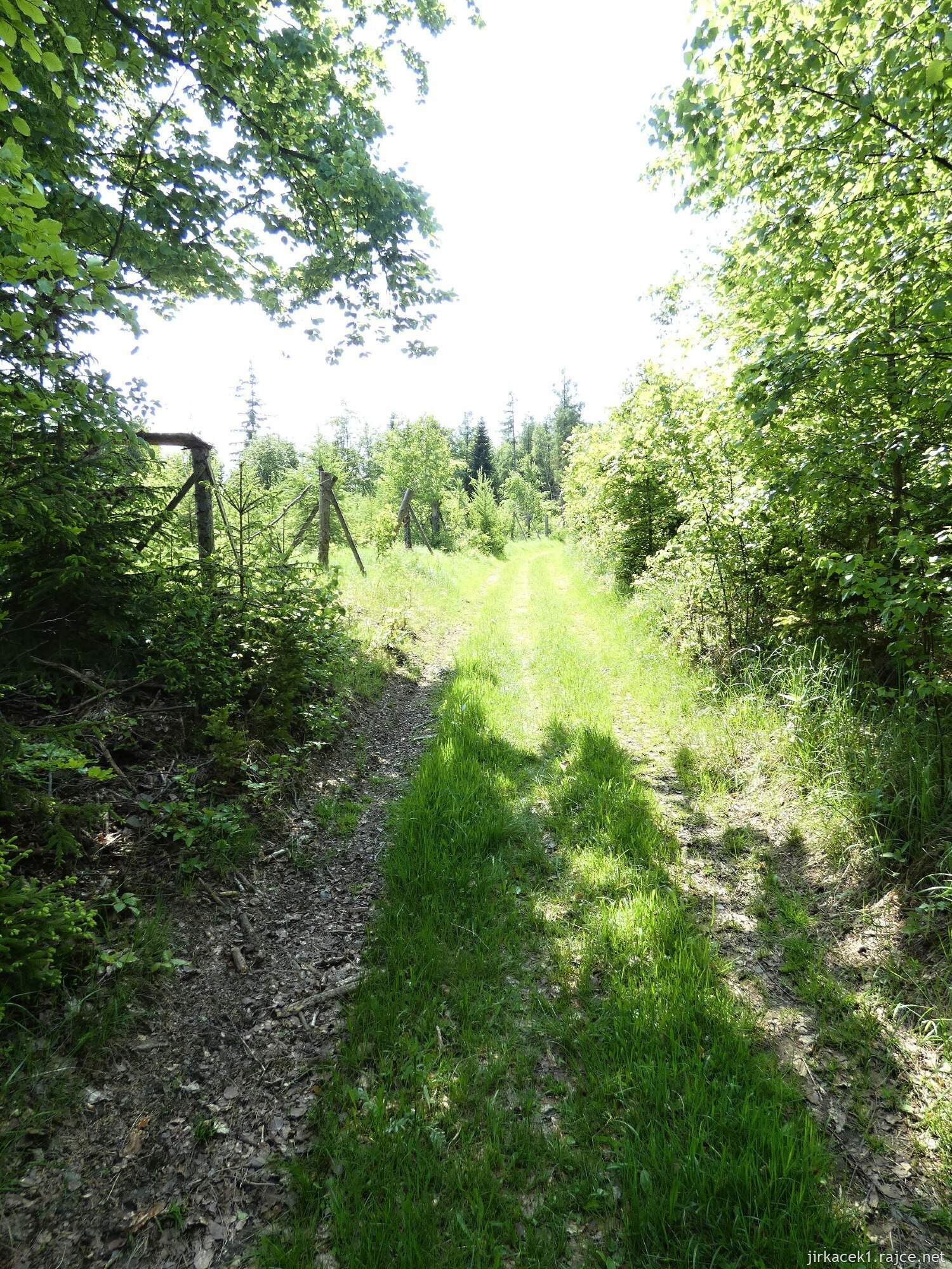 I - cesta z hradu Vildštejn do Budišova nad Budišovkou 026