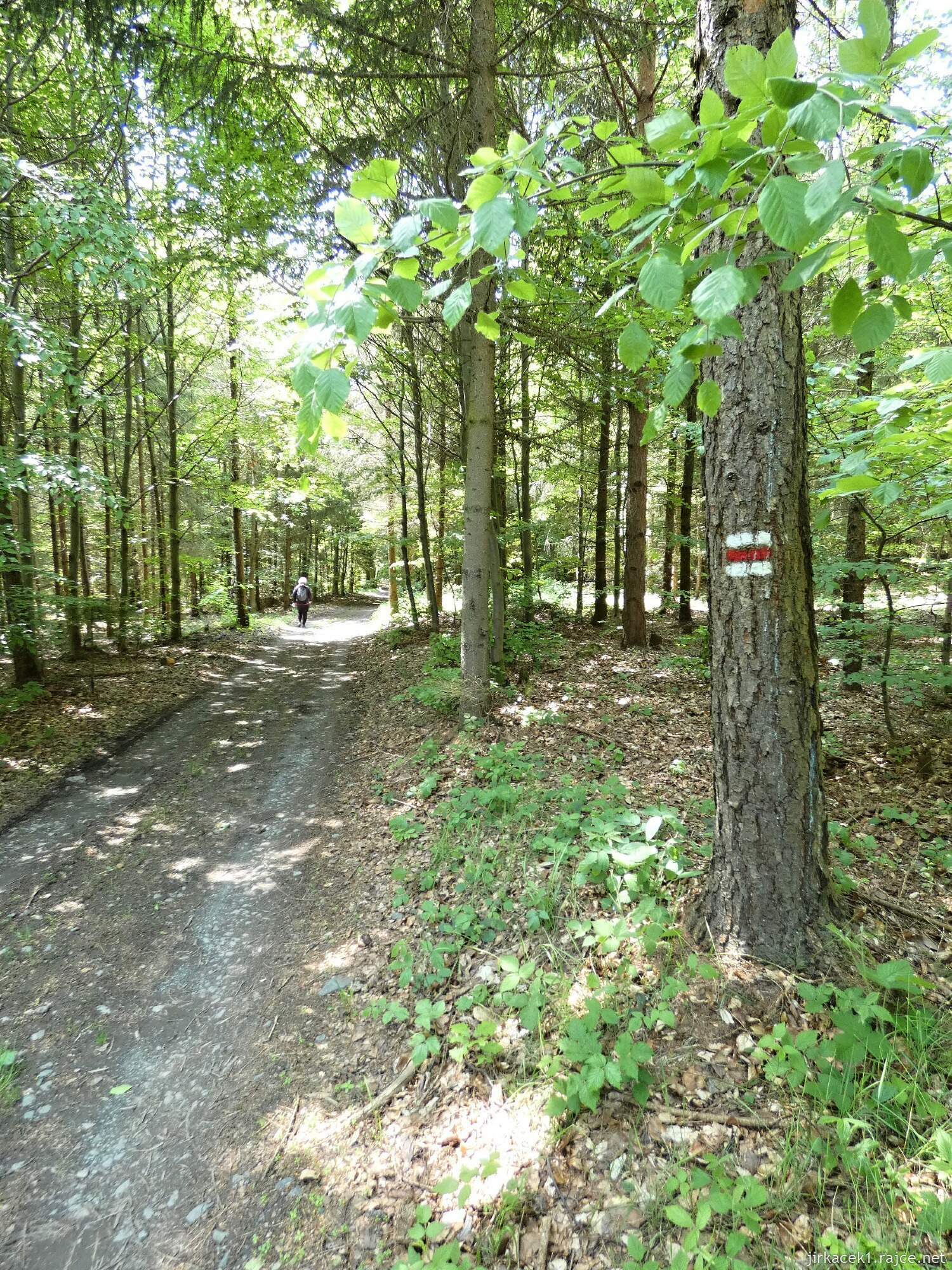 I - cesta z hradu Vildštejn do Budišova nad Budišovkou 029