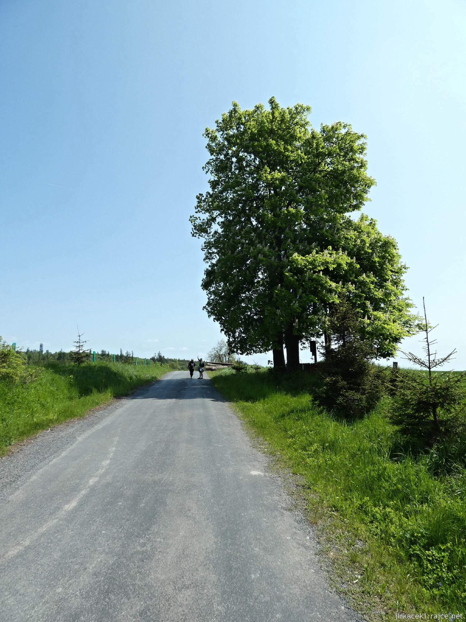 I - cesta z hradu Vildštejn do Budišova nad Budišovkou 037