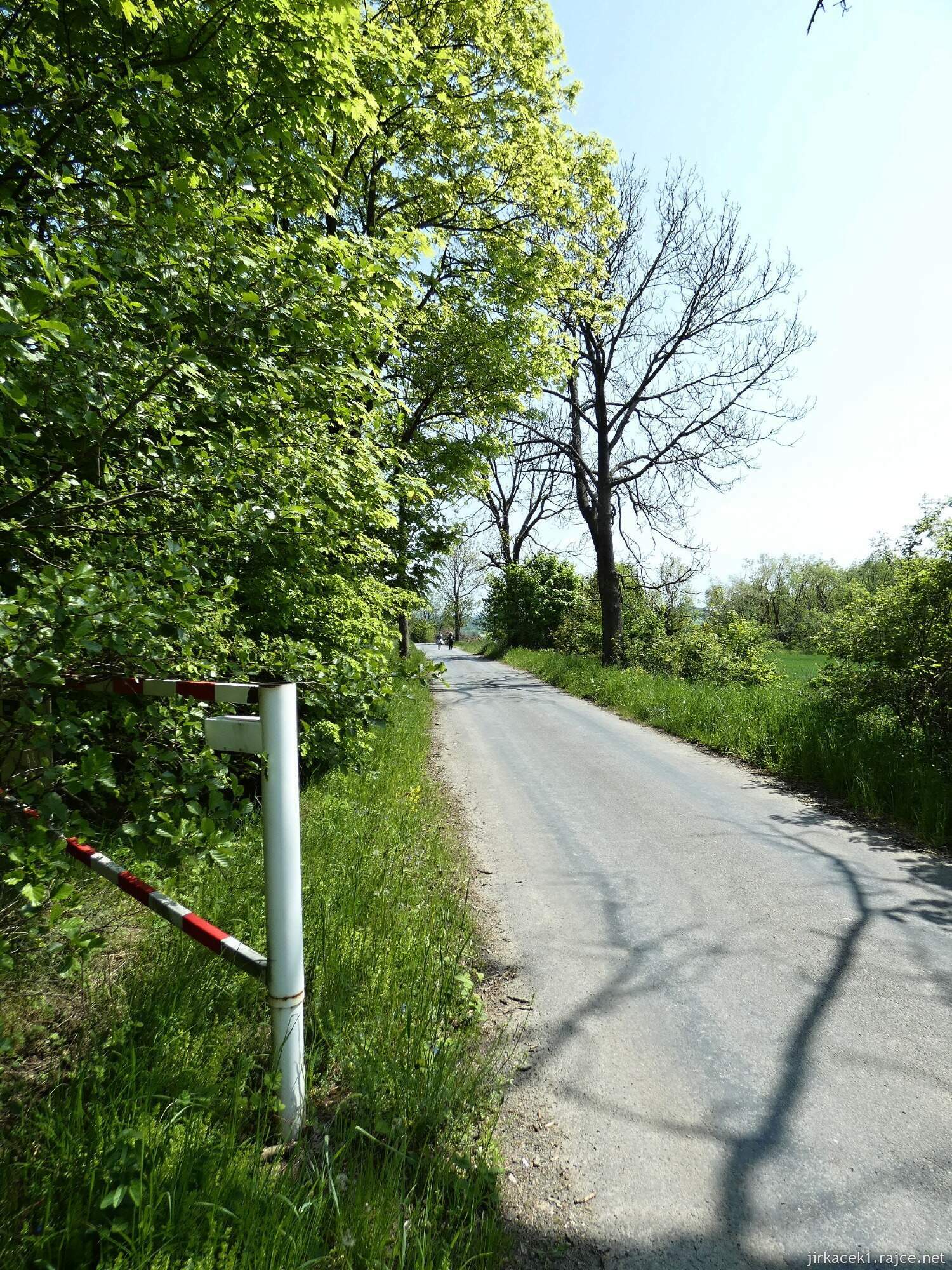 I - cesta z hradu Vildštejn do Budišova nad Budišovkou 045