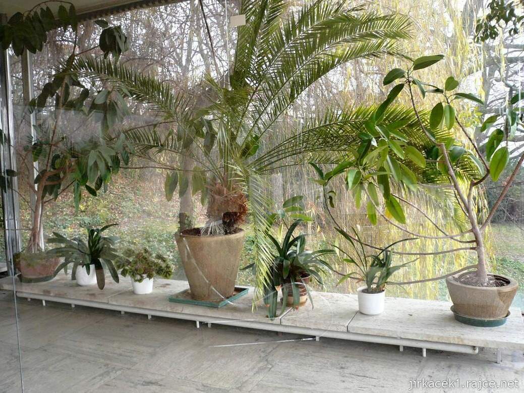 D - Brno - vila Tugendhat 138