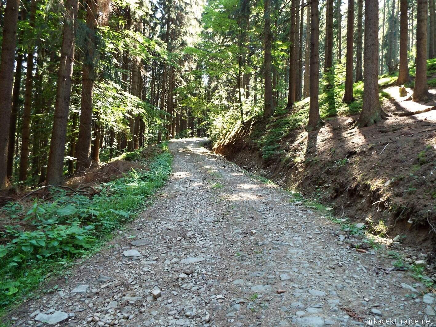 007 - Martiňák 05 - cesta na Martiňák - cesta po zelené na Lopůnku