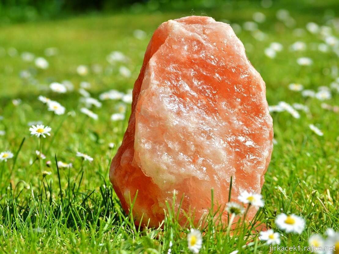 Soláň - ilustrační foto z Pixabay 1