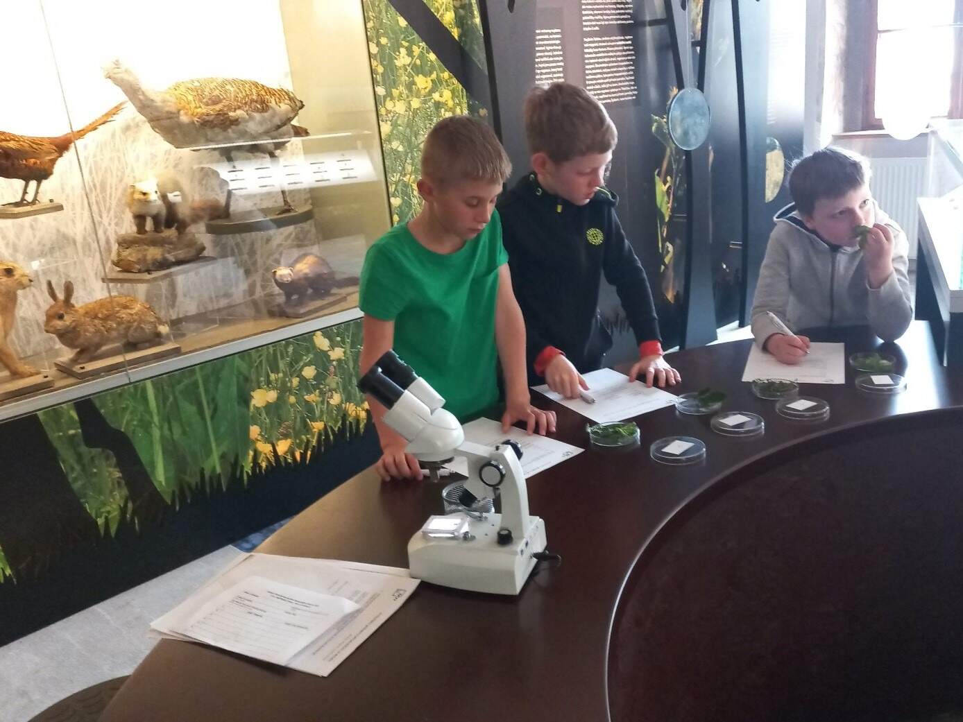 Děti z Vědníku navštívily jihlavské muzeum