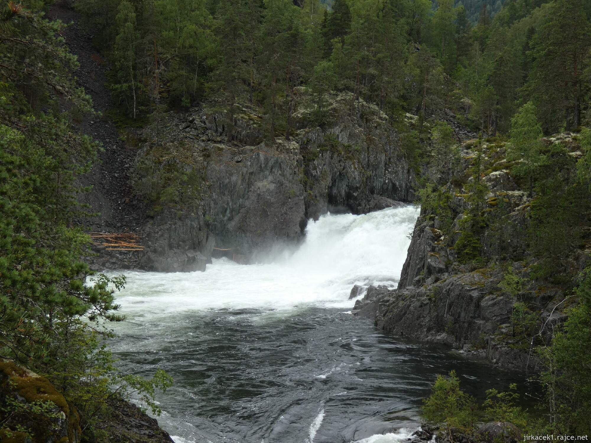 rajce  [[[[deti idnes rajce sleep 1