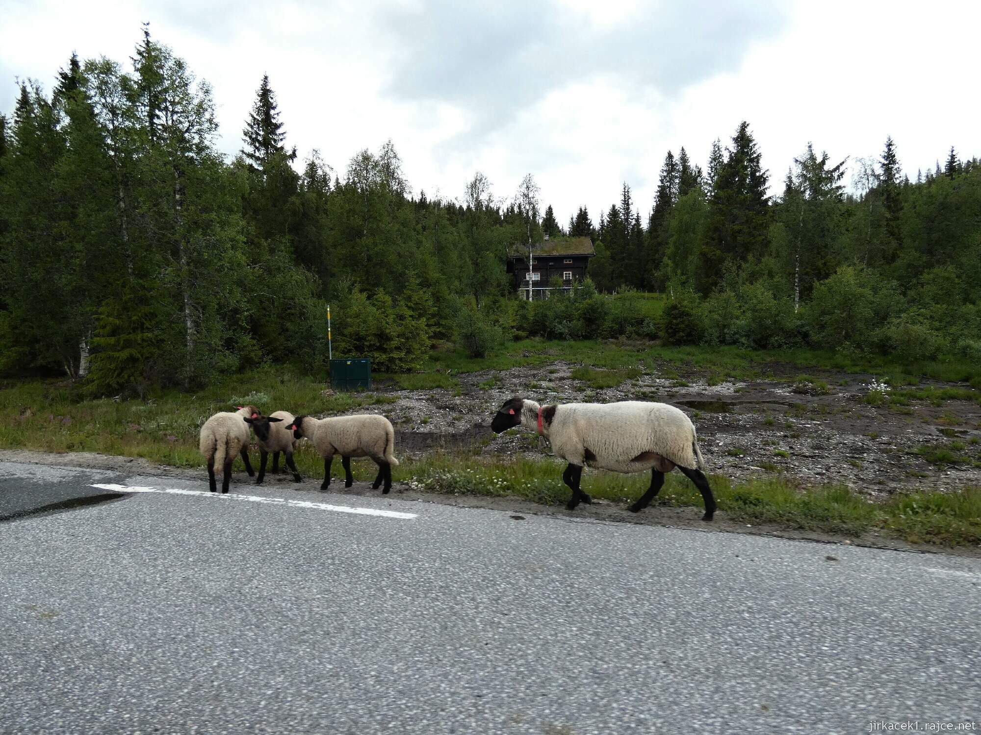 2h - cesta od vodopádu Nedrebøfossen​ na ubytování v Rysstadu - Sølvgarden Cottages004