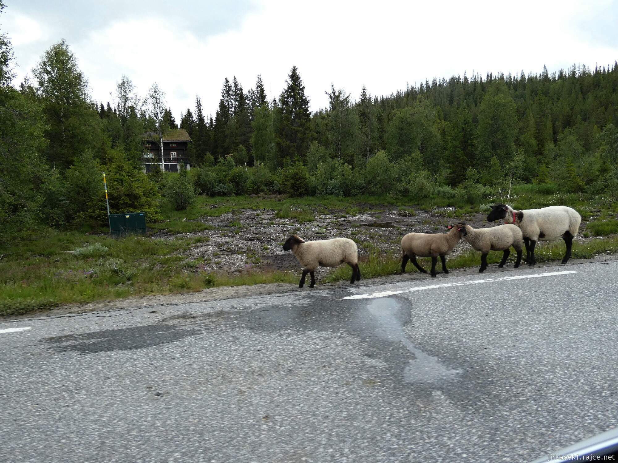 2h - cesta od vodopádu Nedrebøfossen​ na ubytování v Rysstadu - Sølvgarden Cottages005