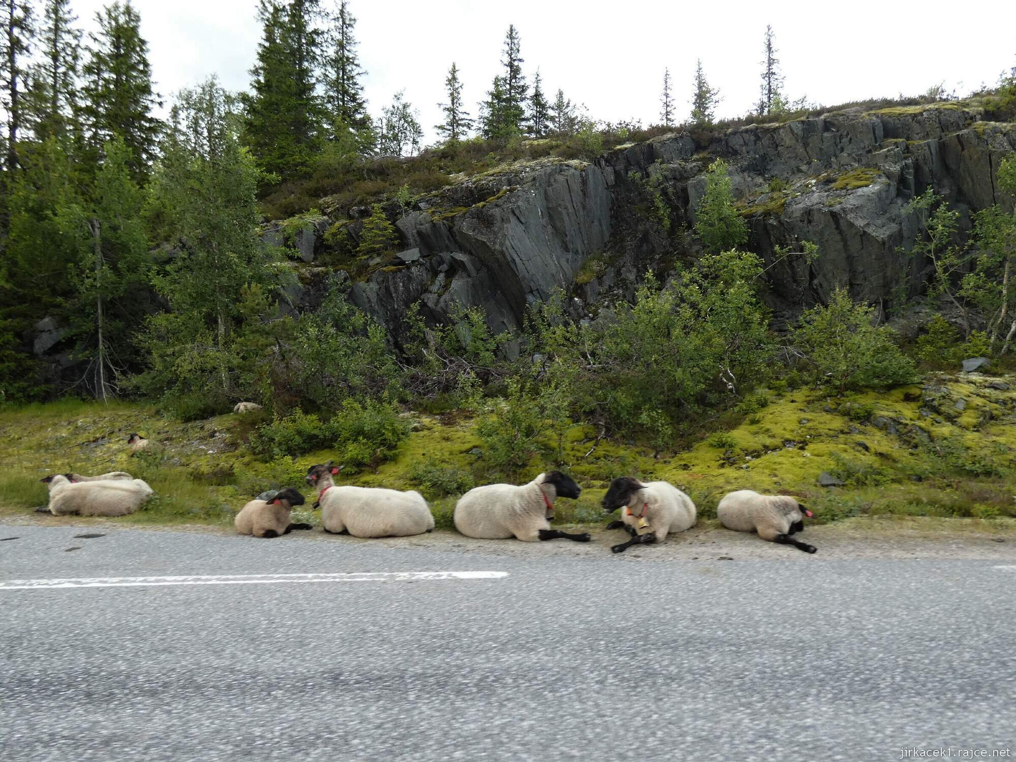 2h - cesta od vodopádu Nedrebøfossen na ubytování v Rysstadu - Sølvgarden Cottages007