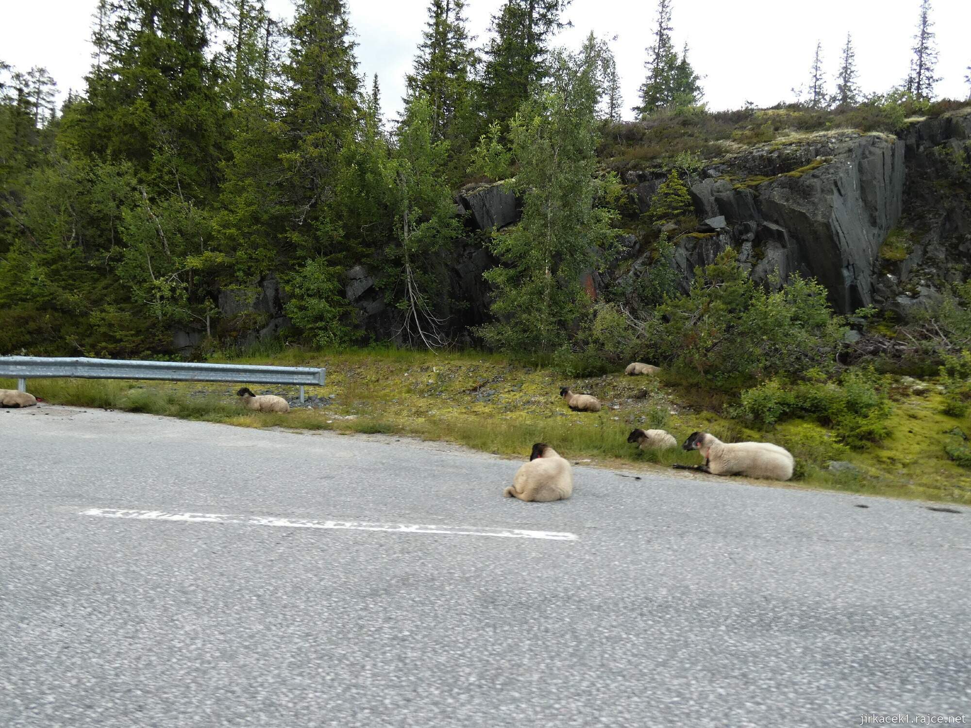 2h - cesta od vodopádu Nedrebøfossen na ubytování v Rysstadu - Sølvgarden Cottages008