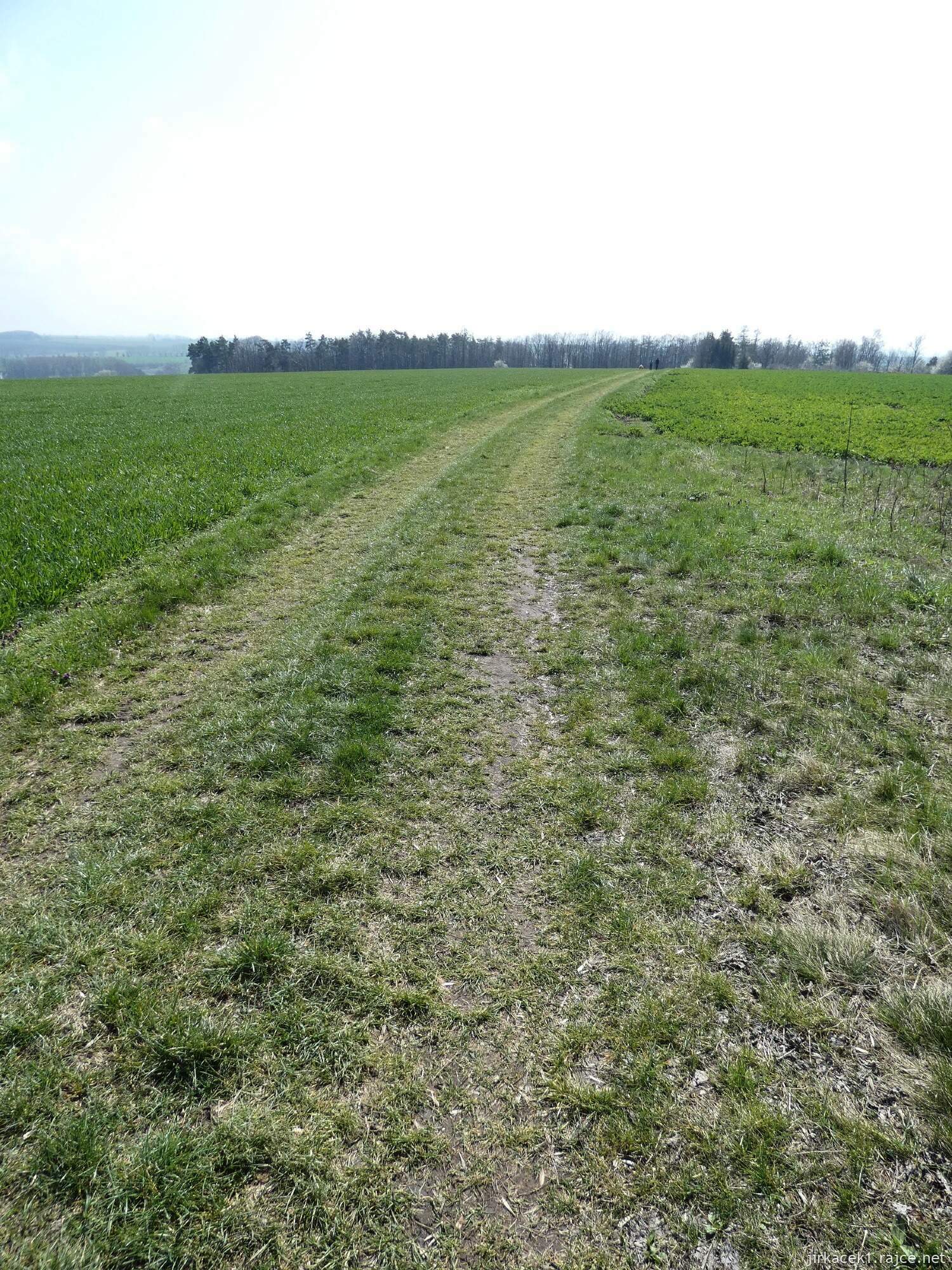 F - Naučná stezka Pivín - Skalka cesta od jezírek k 7. zastavení 007