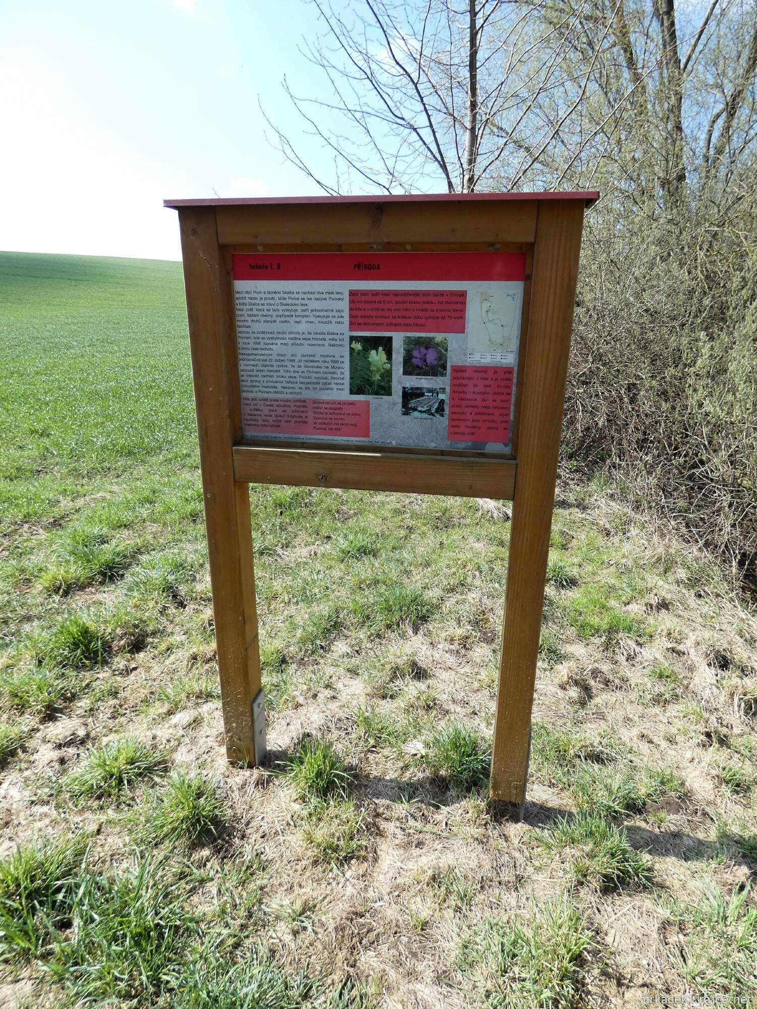 G - Naučná stezka Pivín - Skalka cesta od 7. k 8. zastavení 008