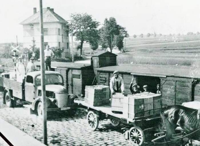 Obrázek