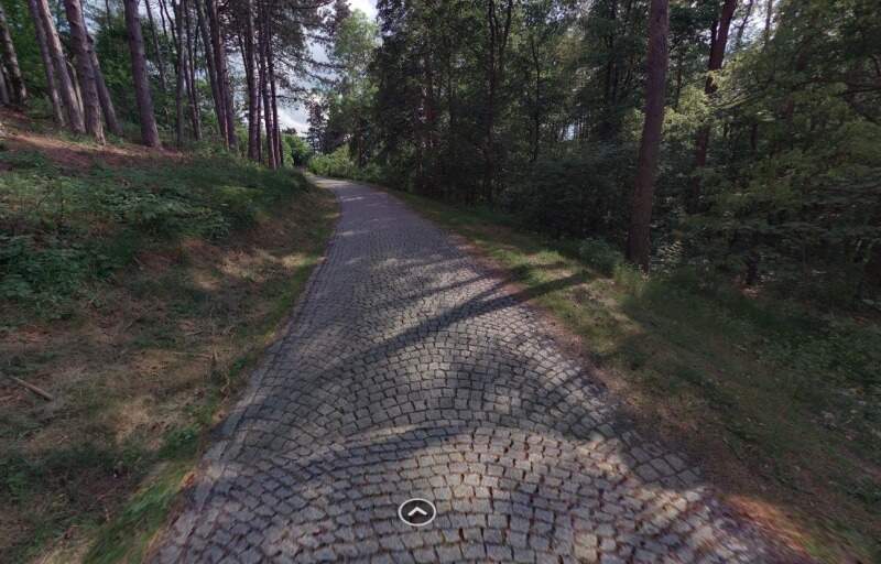Obrázek