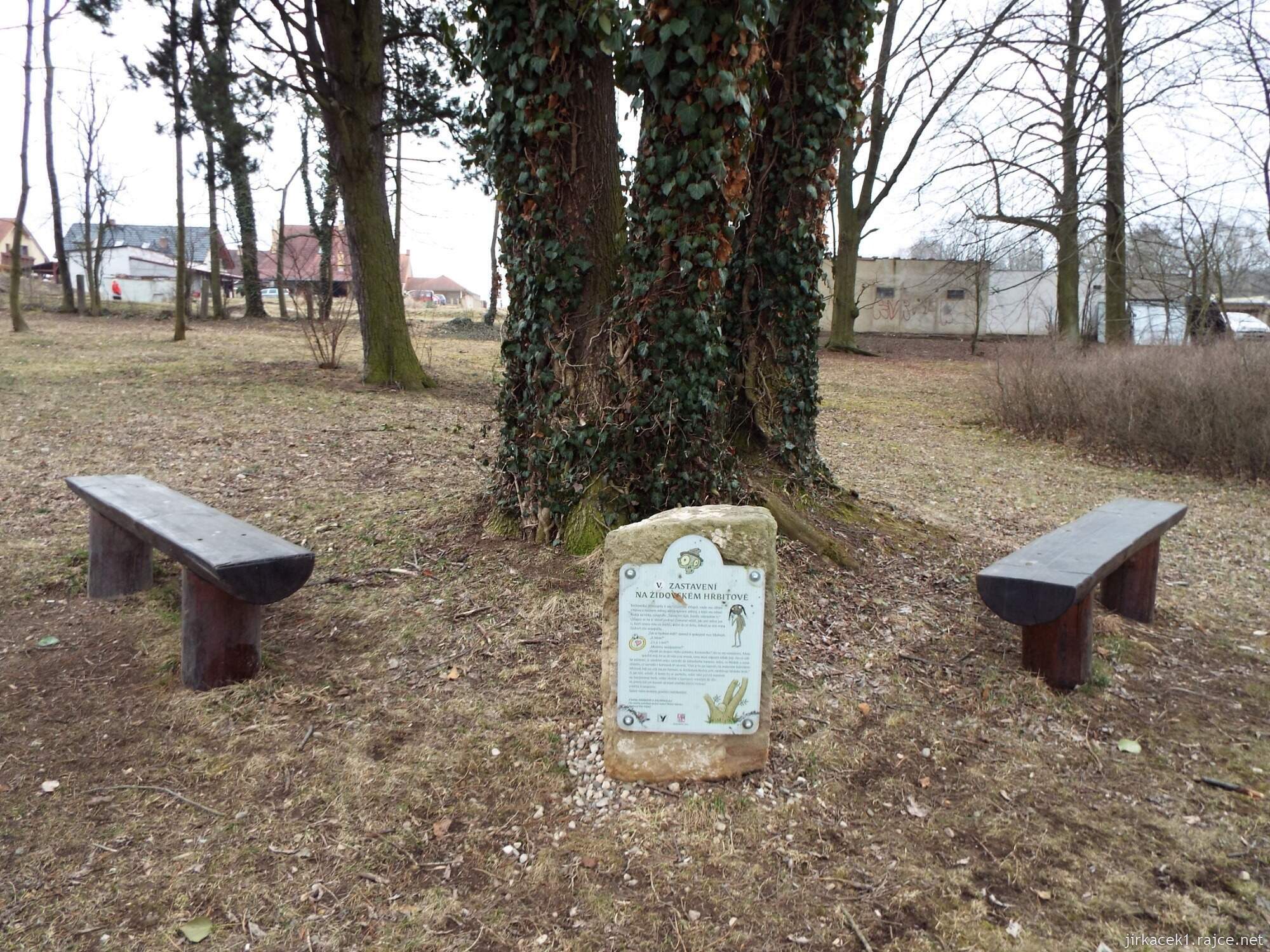 11 - Jevíčko - židovský hřbitov 09
