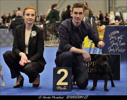 Best Vision Hungry Beast (Front Runner Domidar Dogs X All You Need Nothing Impawssible) - Psi - třída dorostu - VN2