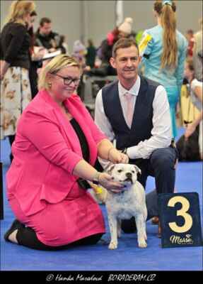 Kingdom Of Snowflake Moravia Lord(Bullkeinol Chucky Doll X Dream Comes True Moravia Lord) - Feny - třída dorostu - VN3