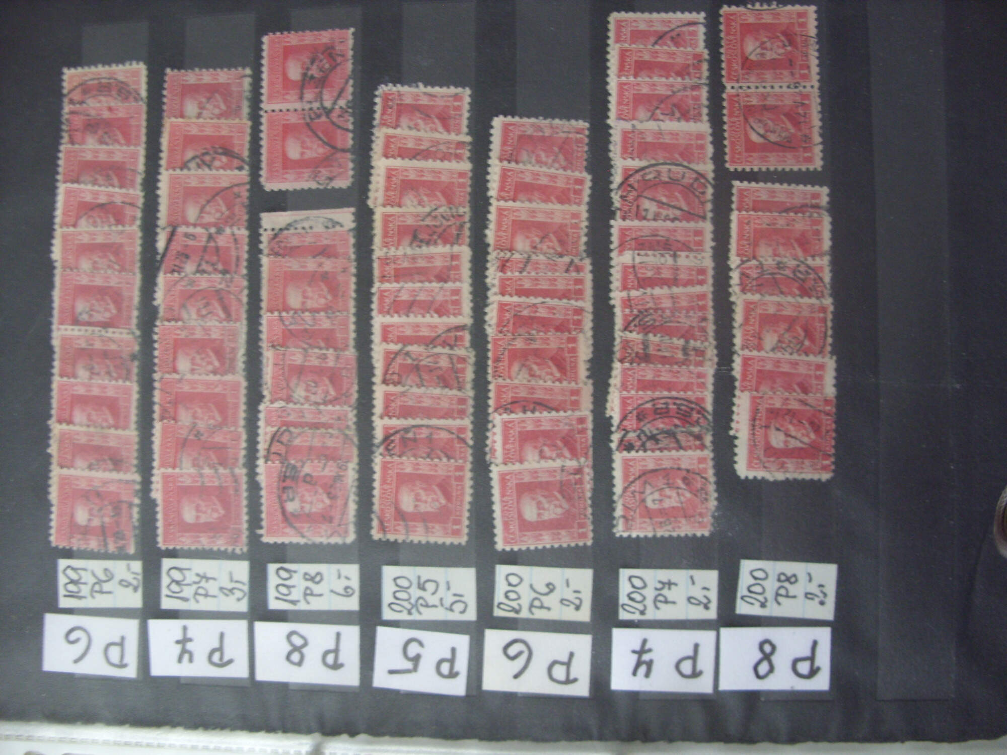SDC10285.jpg?ver=0